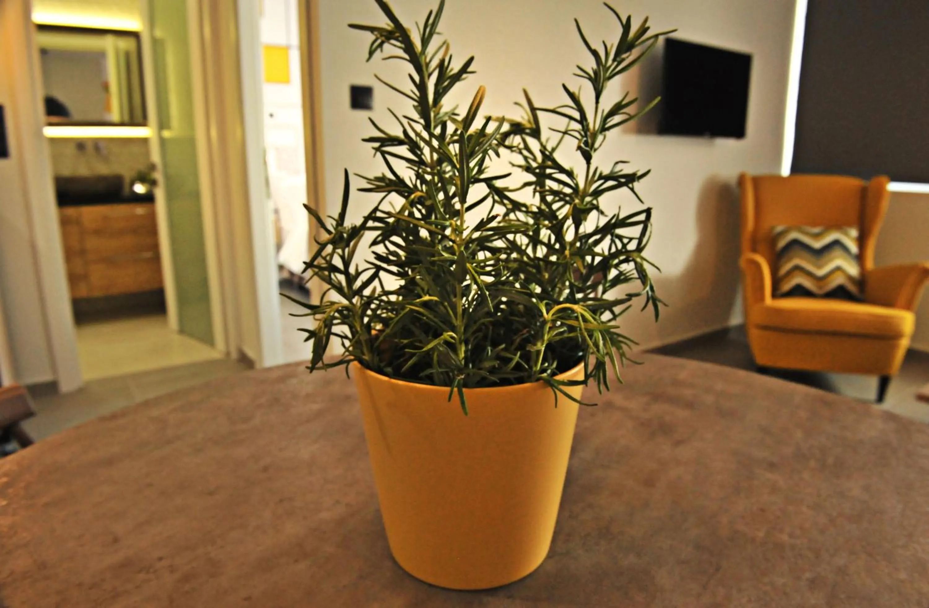 Living room in The Athenians Modern Apartments