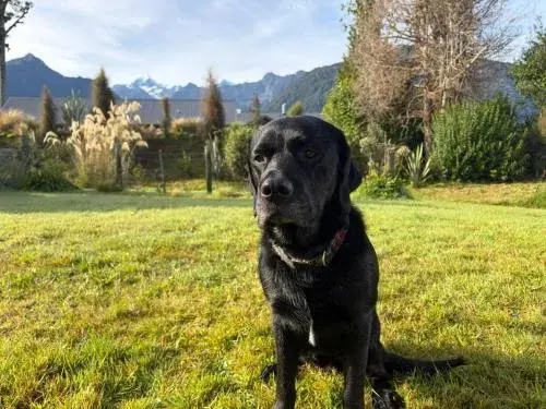 Mt Cook View Motel - Fox Glacier Mt Cook View Motel - Fox Glacier