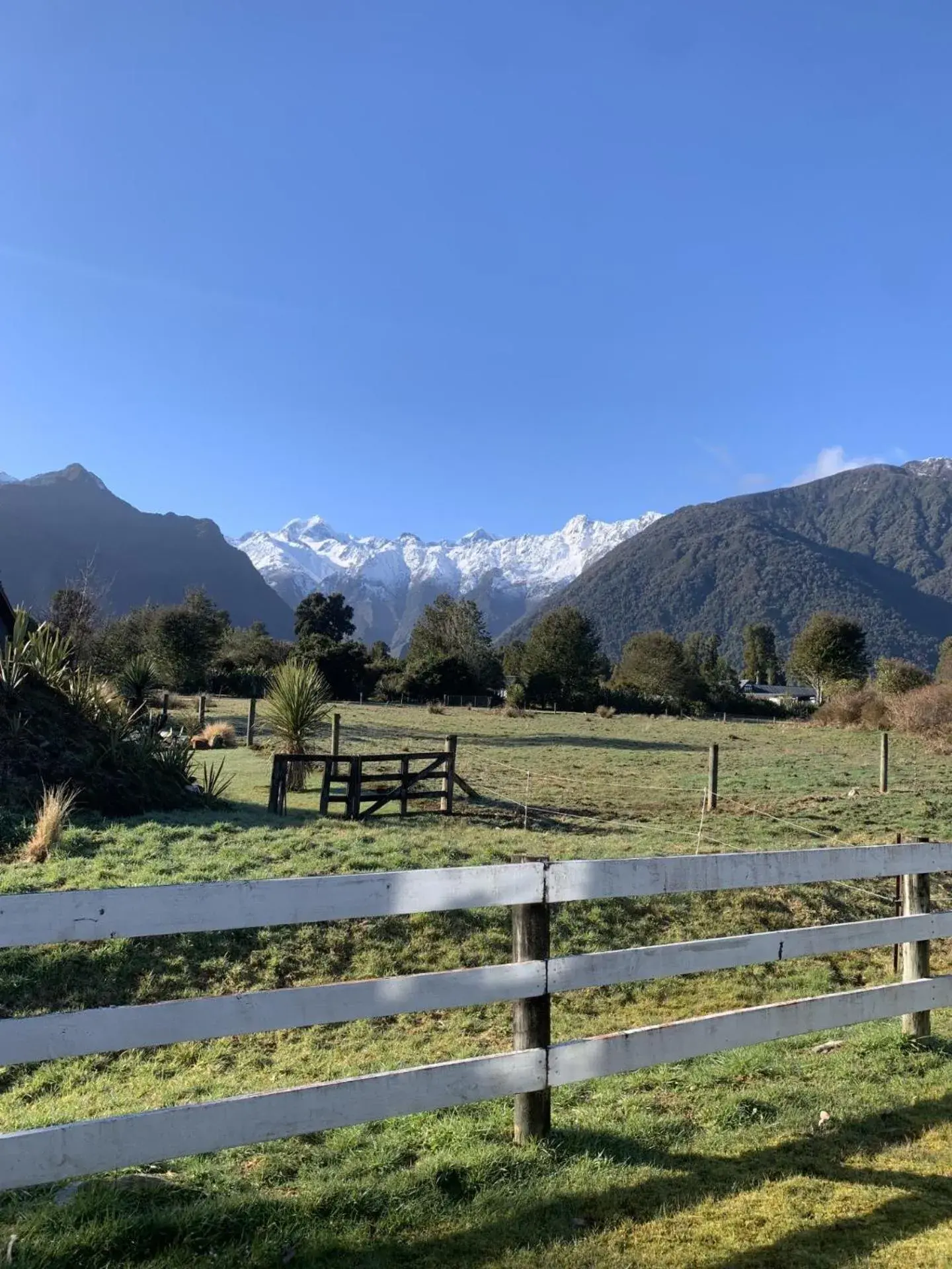 Natural landscape in Mt Cook View Motel - Fox Glacier Natural landscape in Mt Cook View Motel - Fox Glacier