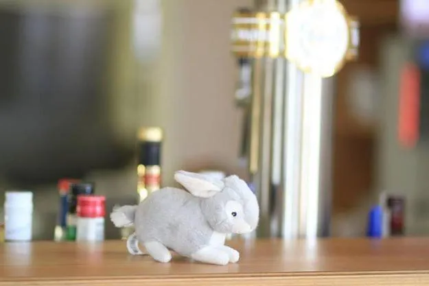 Decorative detail in Landhotel Möllhagen