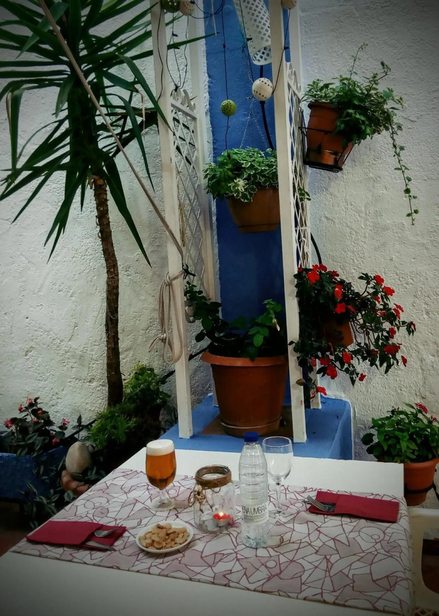 Garden in Hotel Ramis fundado en 1969