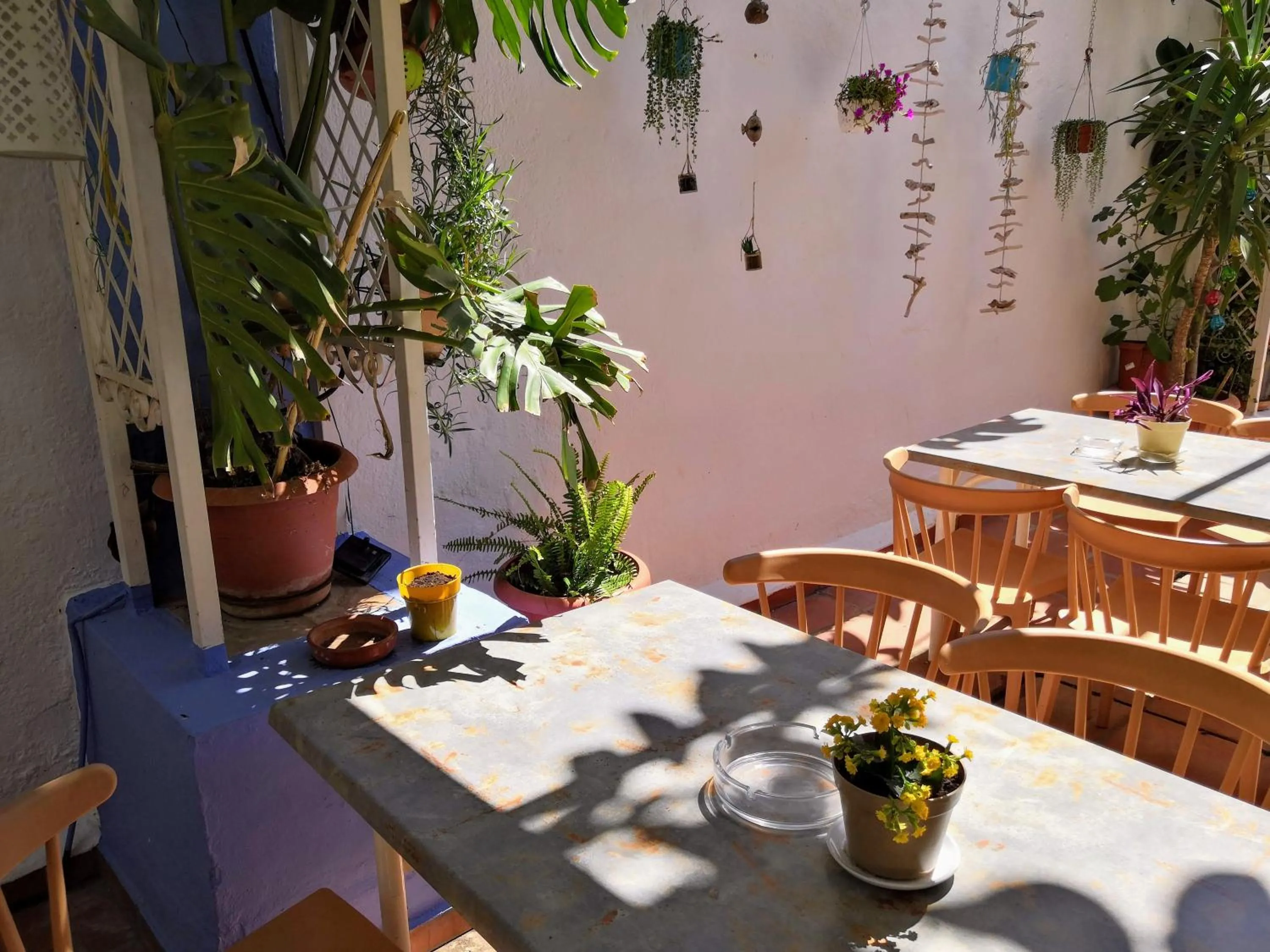 Restaurant/places to eat in Hotel Ramis fundado en 1969