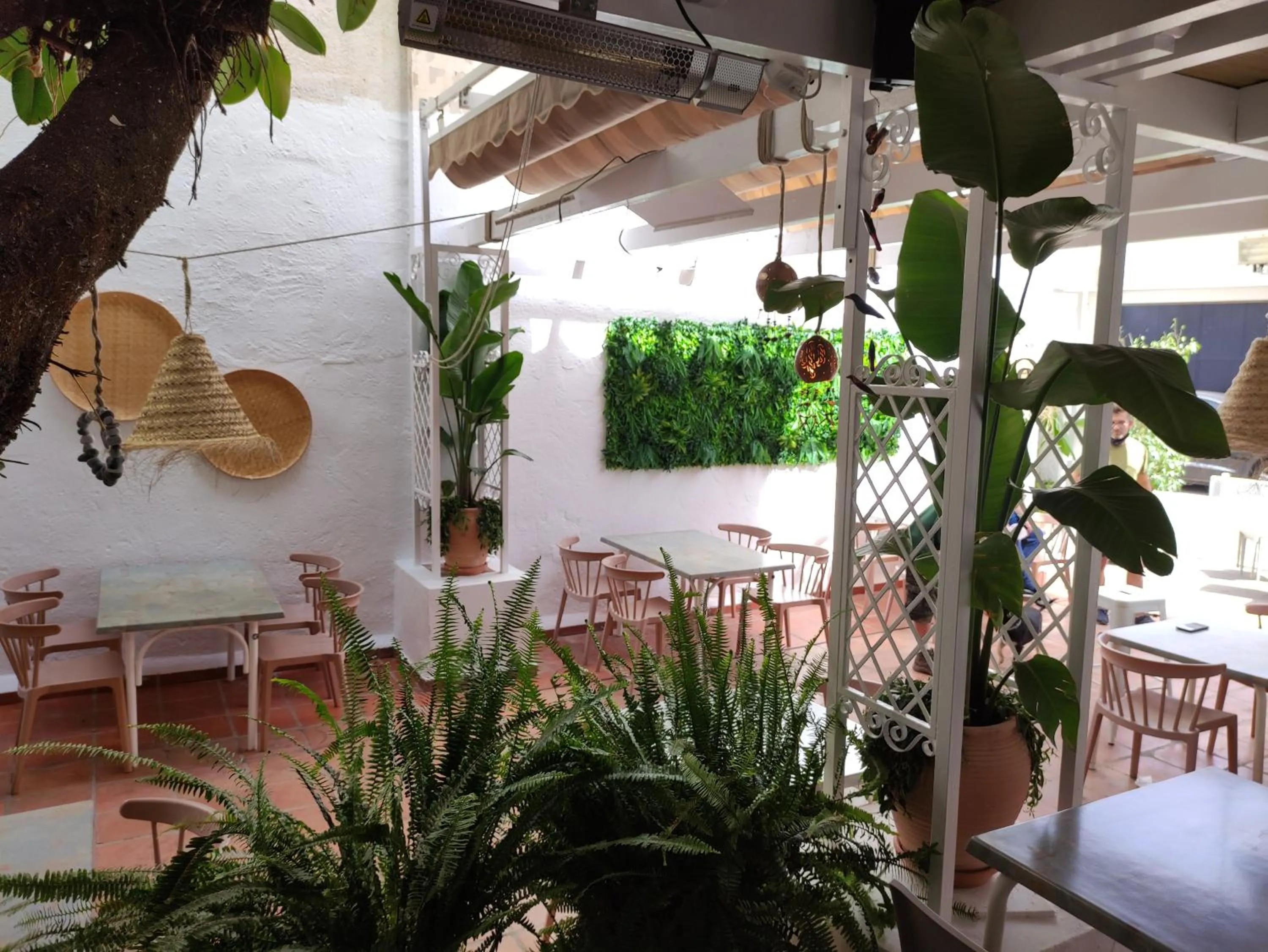 Patio in Hotel Ramis fundado en 1969