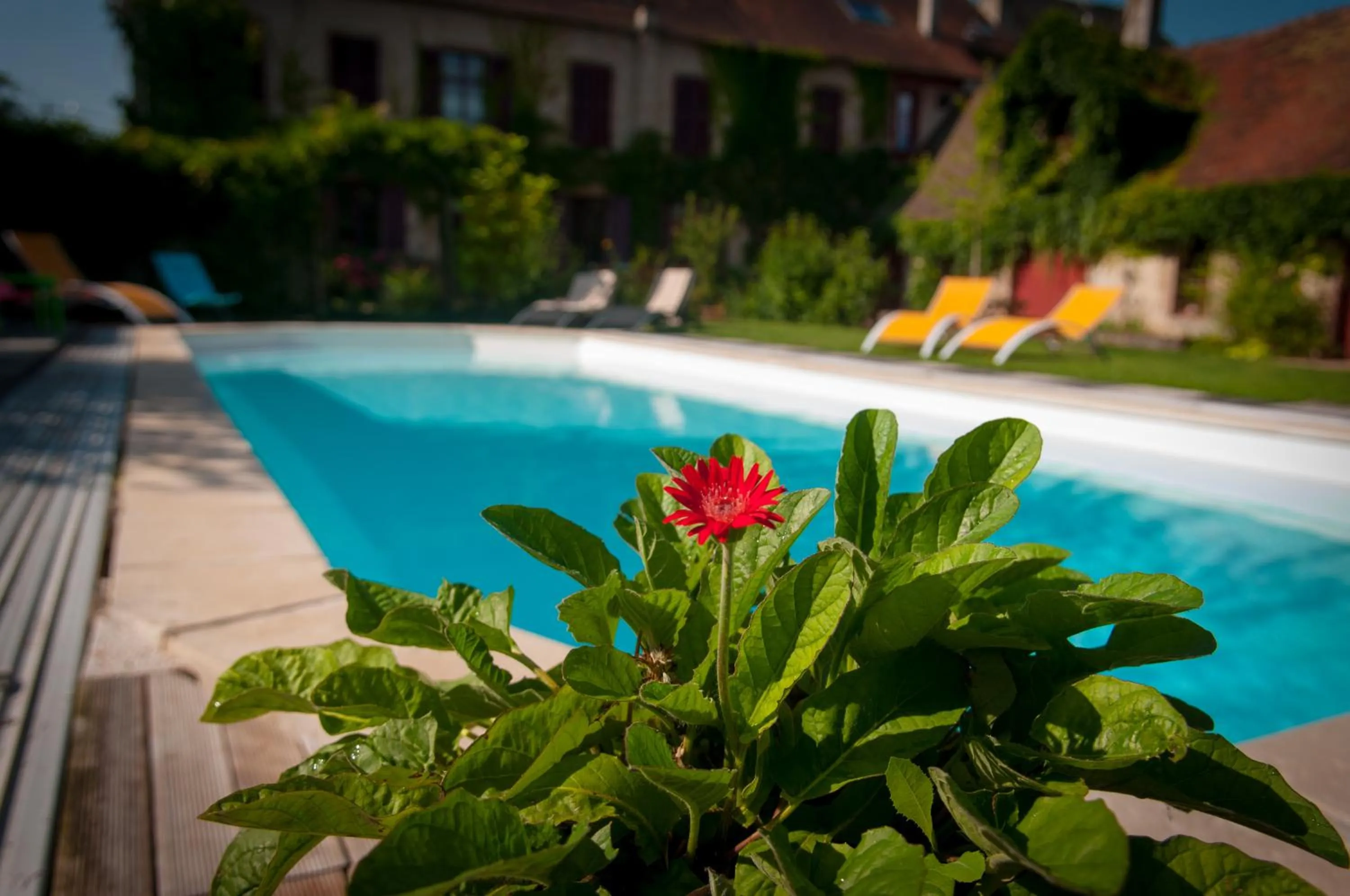 Au Puy Des Vérités