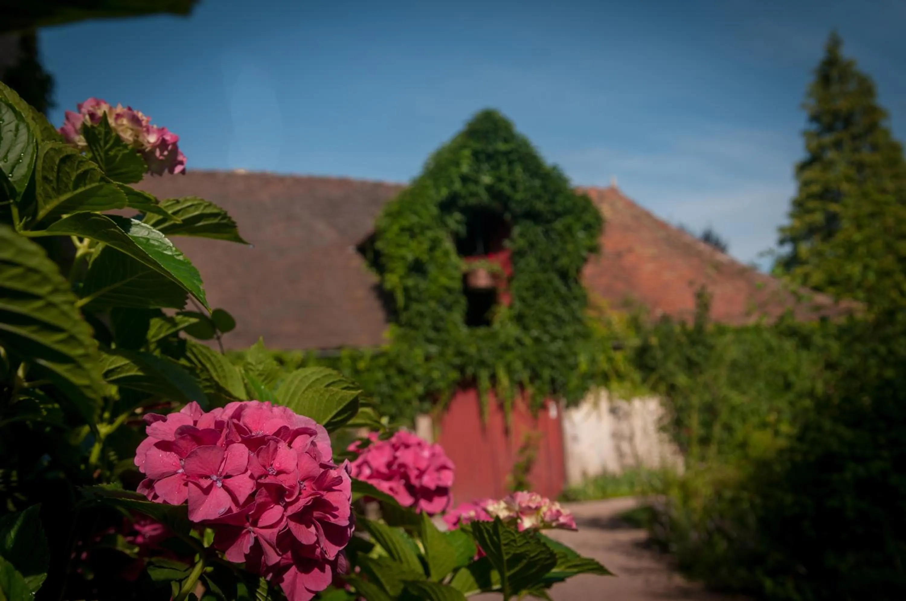 Garden view in Au Puy Des Vérités
