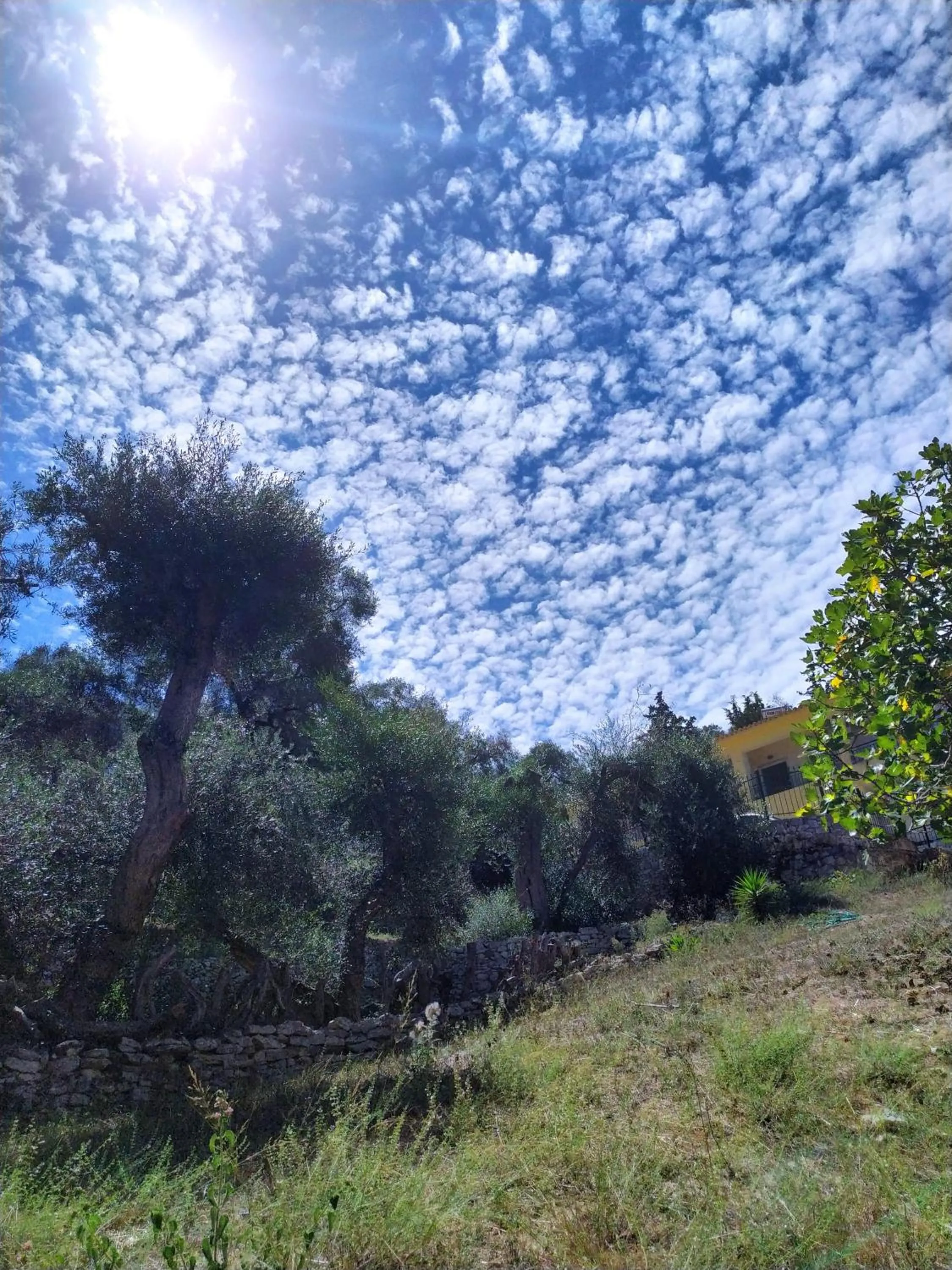 Amfitriti Hotel & Studios