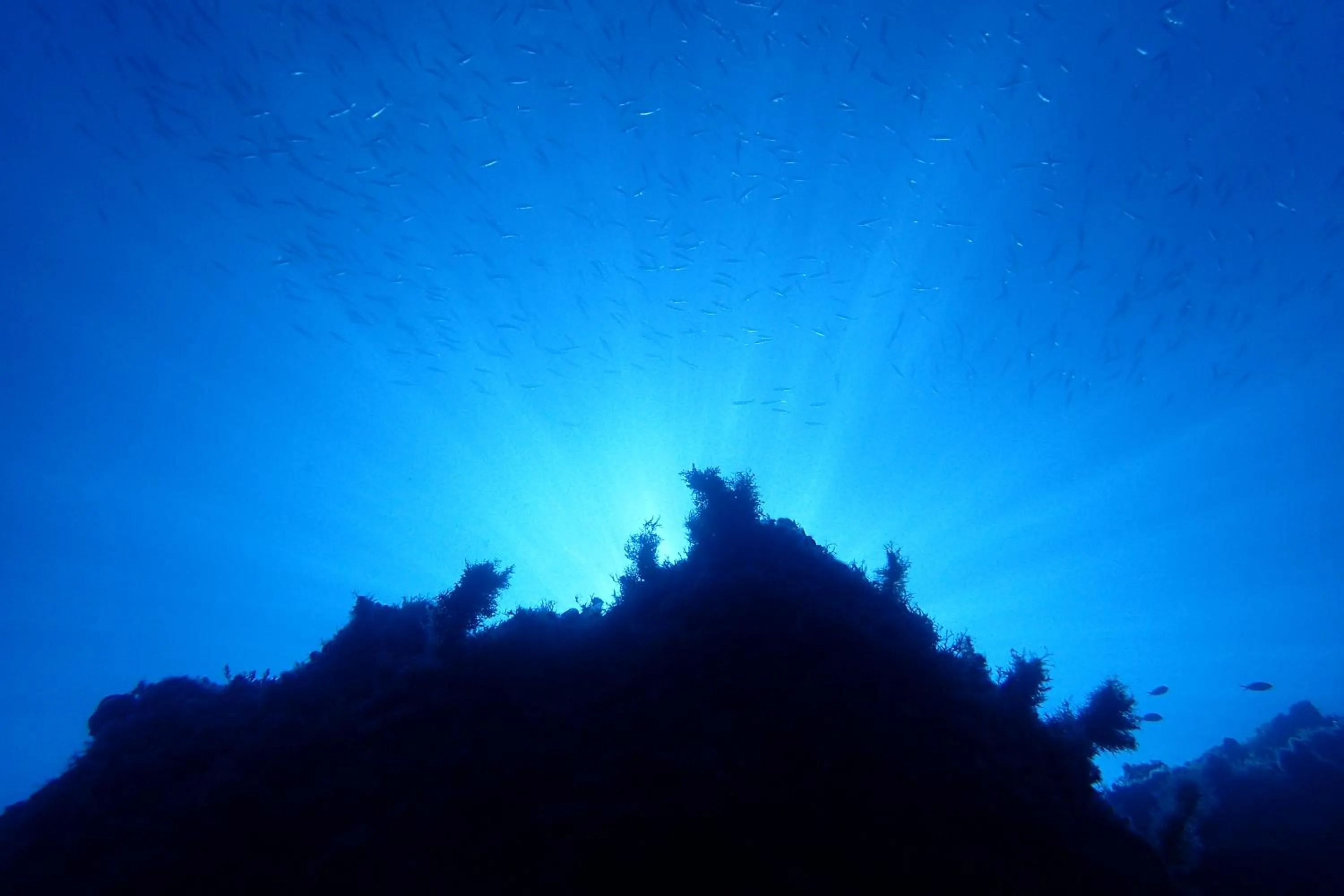 Amfitriti Hotel & Studios