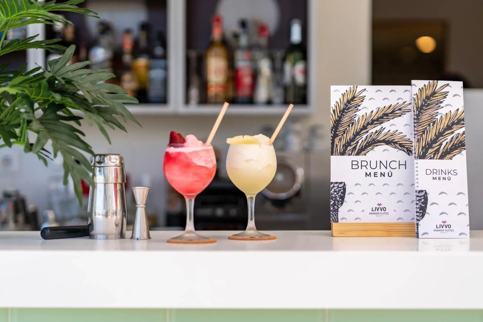 Hotel LIVVO Anamar Suites Hotel LIVVO Anamar Suites