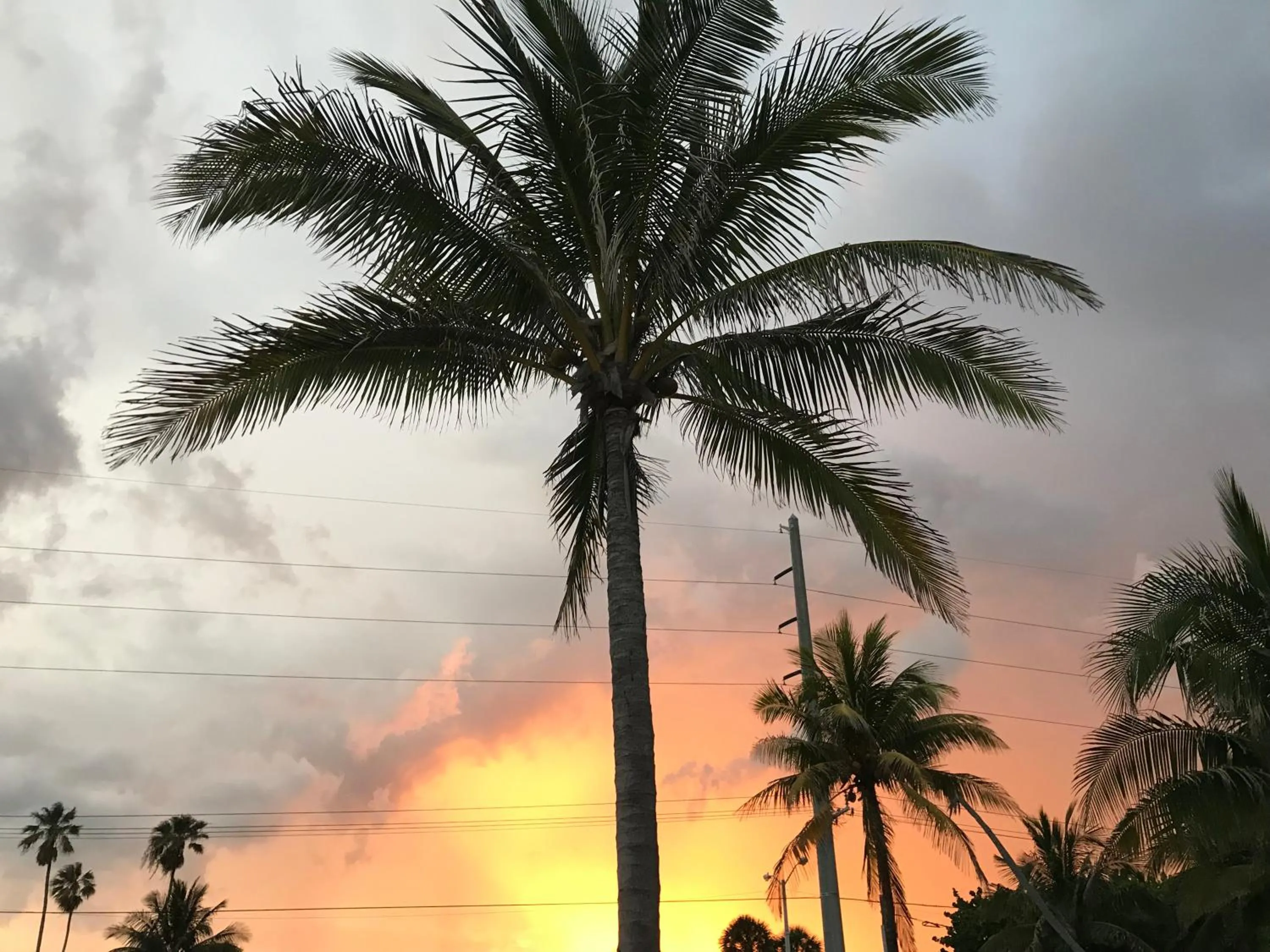 The King David Condos