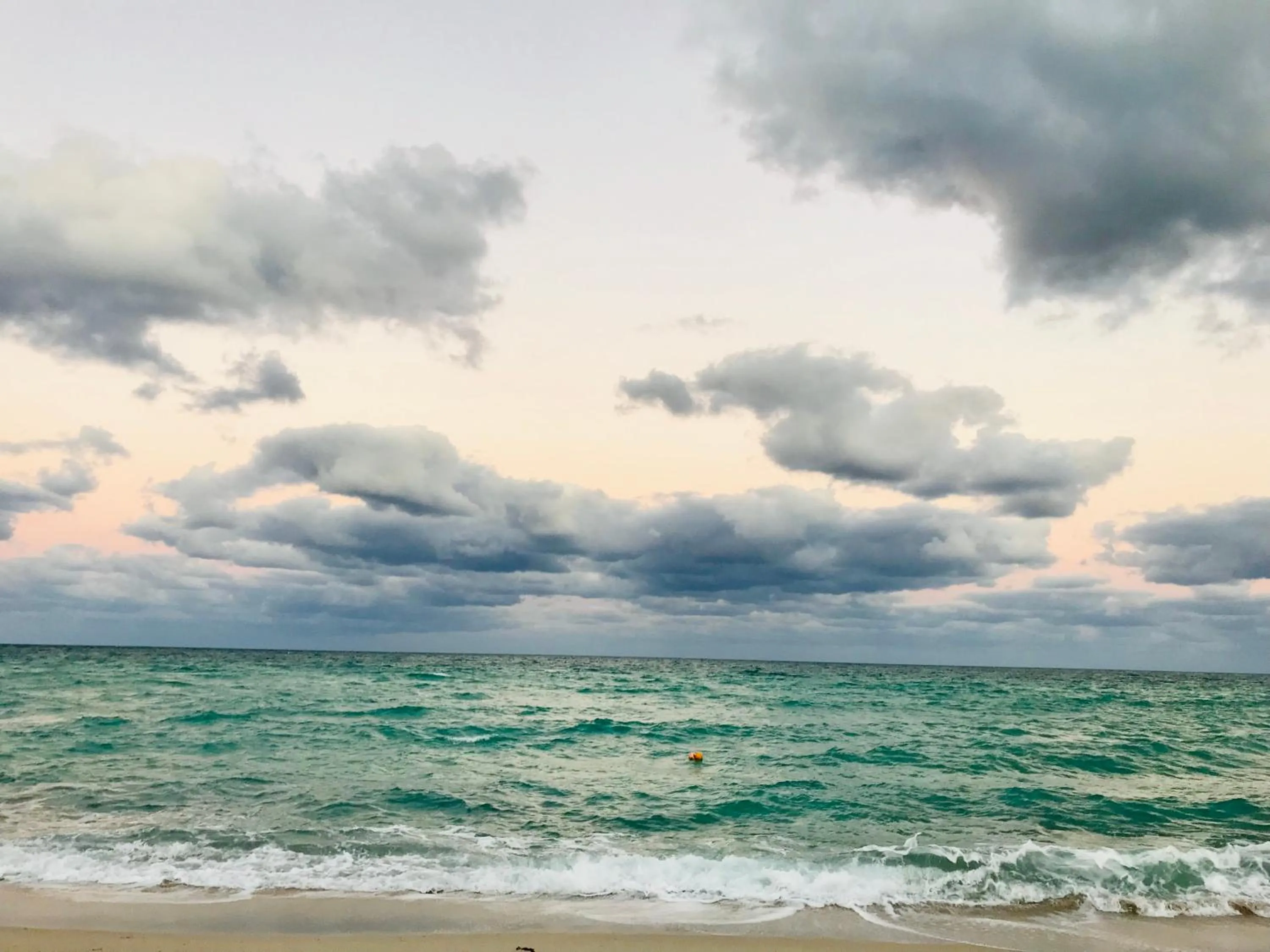 The King David Condos