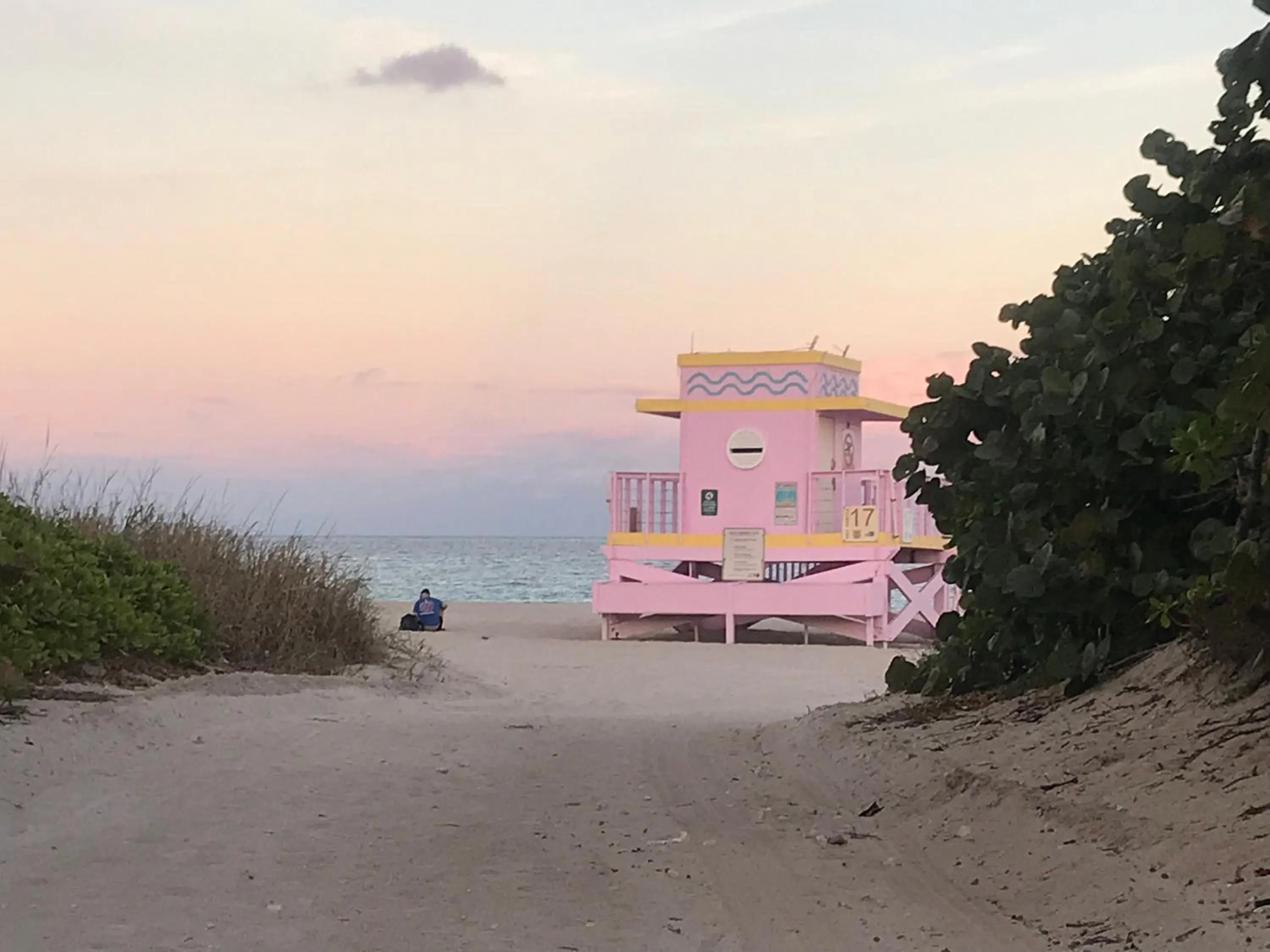 The King David Condos