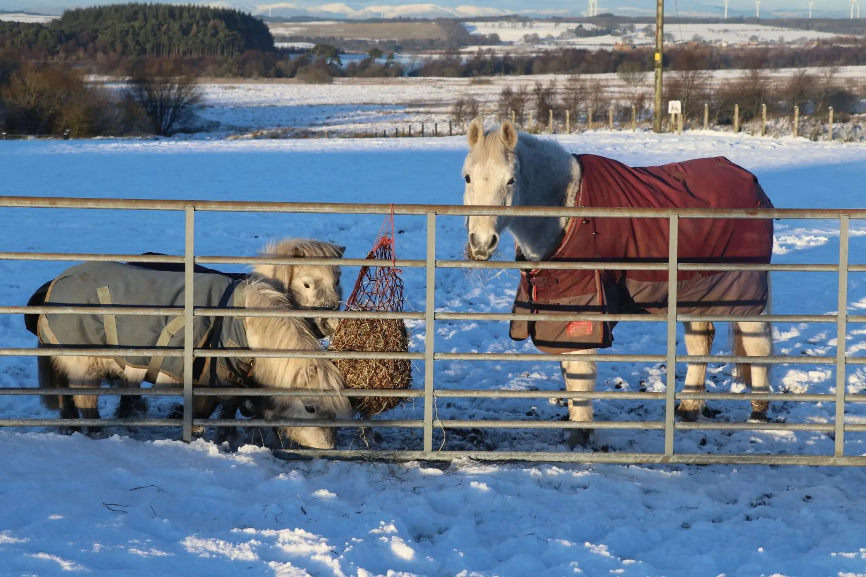 Property building in Blairmains Guest House Property building in Blairmains Guest House