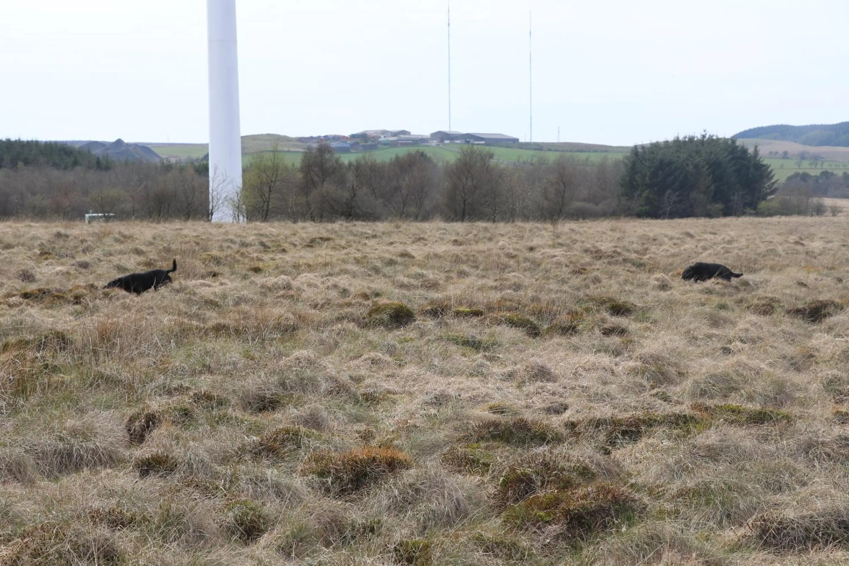 Natural landscape in Blairmains Guest House