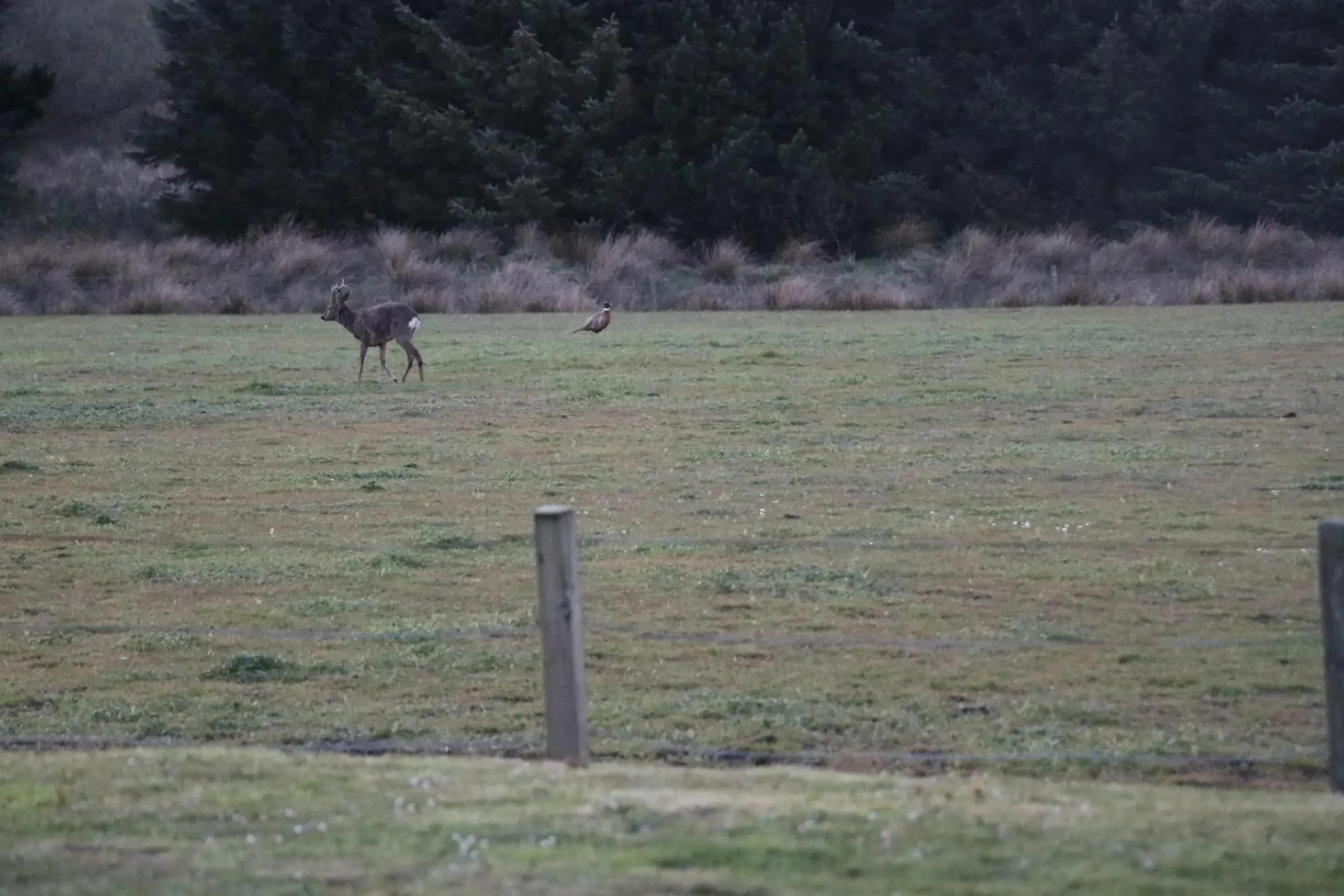 Property building in Blairmains Guest House Property building in Blairmains Guest House