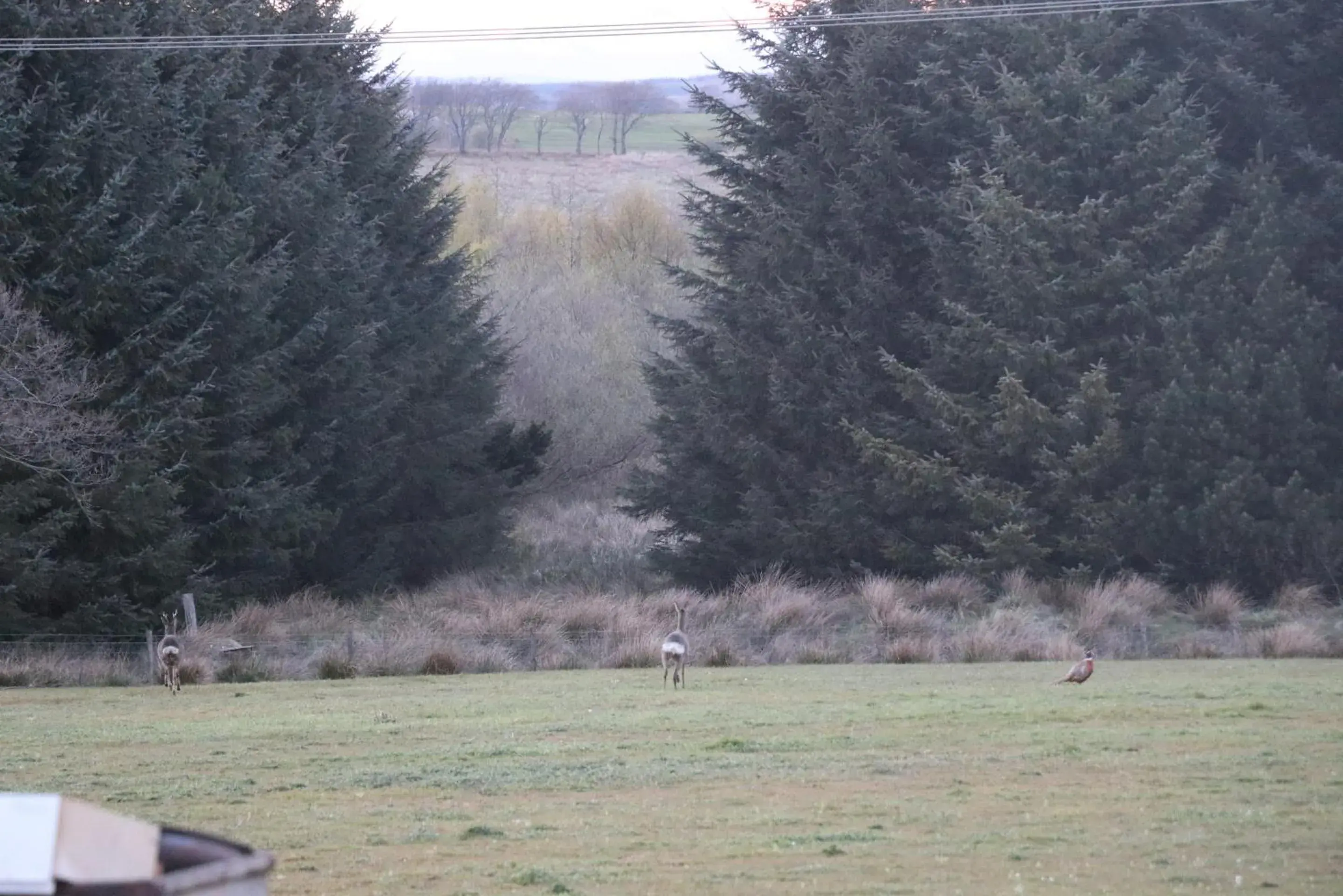 Property building in Blairmains Guest House Property building in Blairmains Guest House