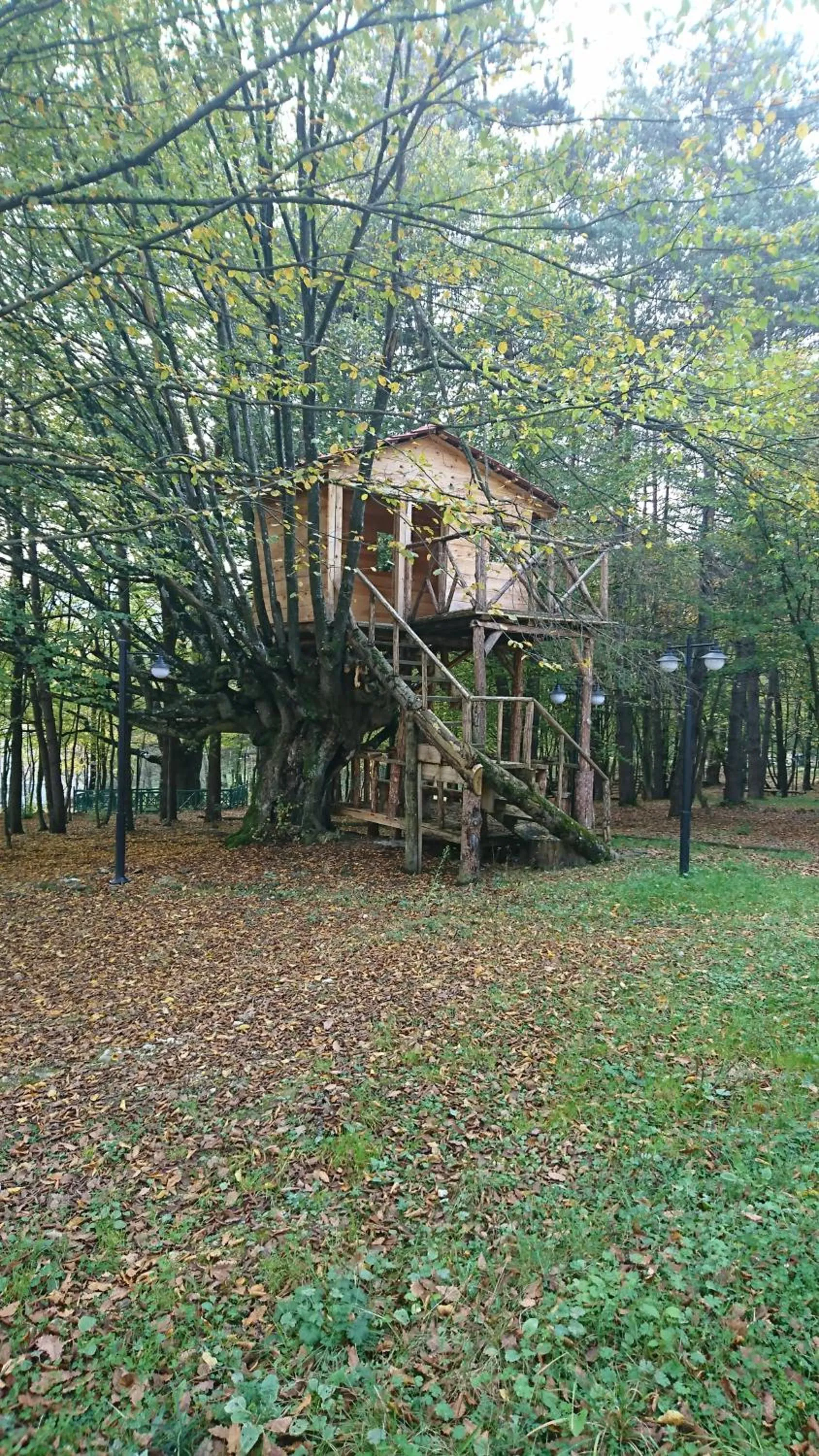 Bolu Koru Hotels Spa & Convention