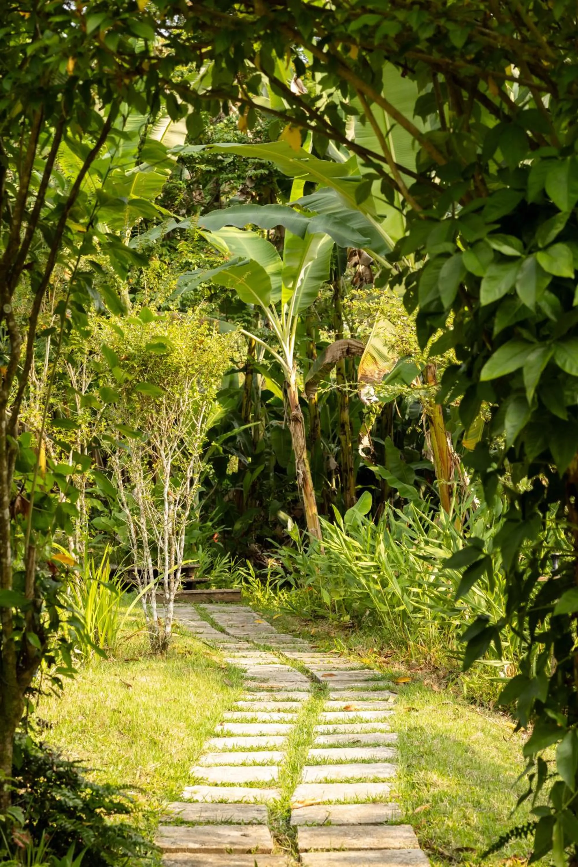 Garden in Pousada Horizonte Azul