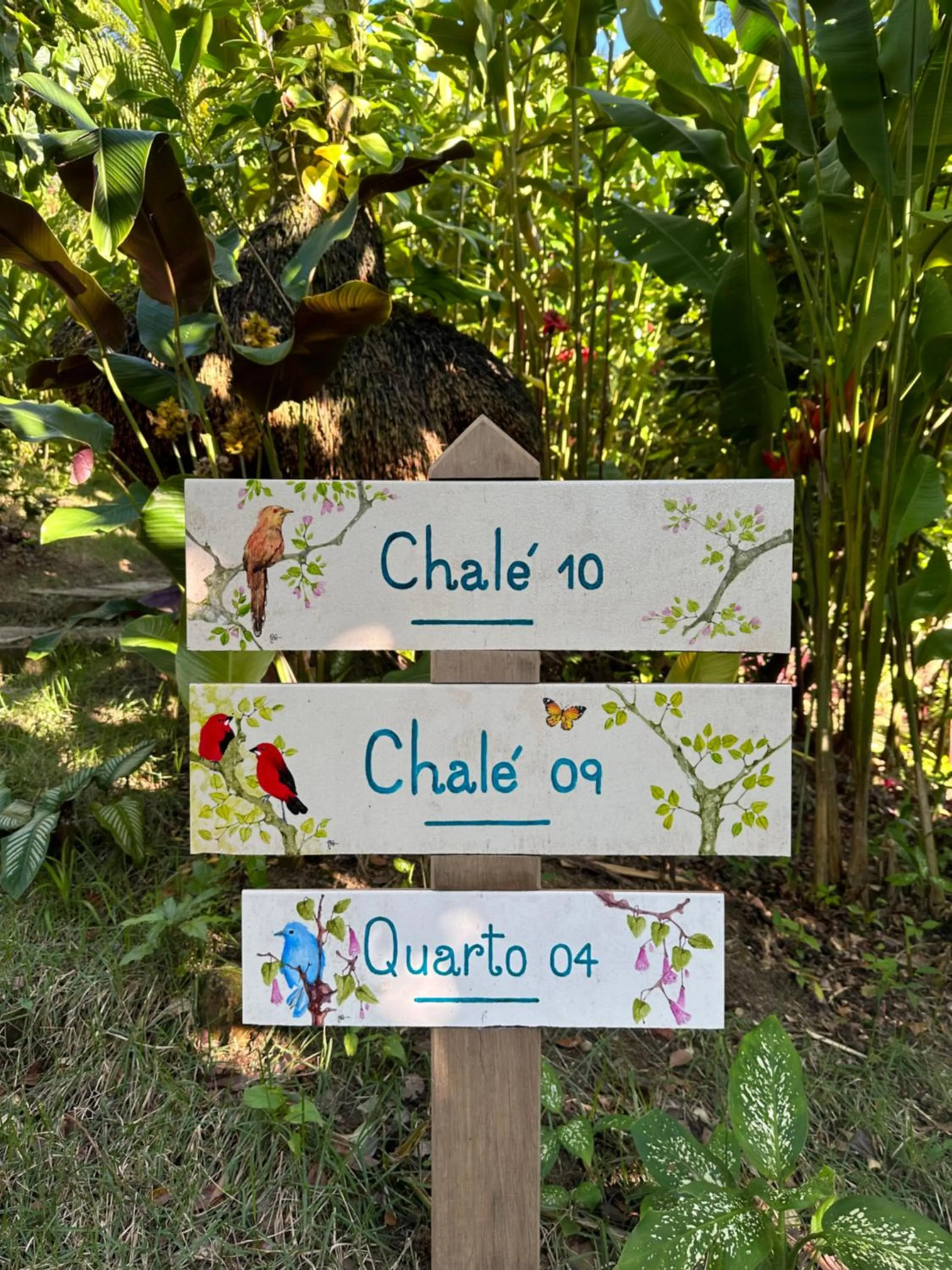 Garden in Pousada Horizonte Azul