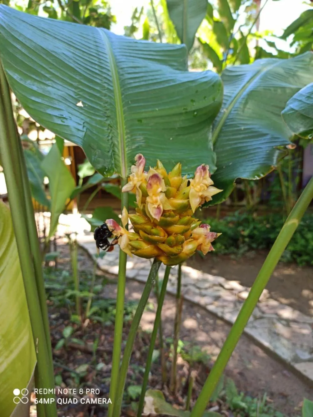 Spring in Pousada Horizonte Azul