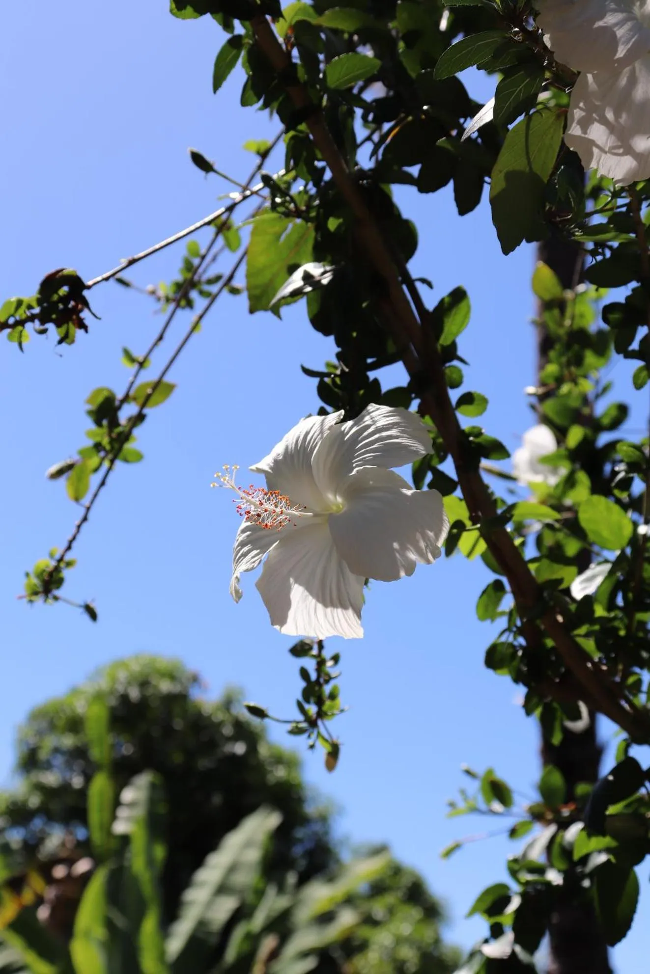 Natural landscape in Pousada Horizonte Azul