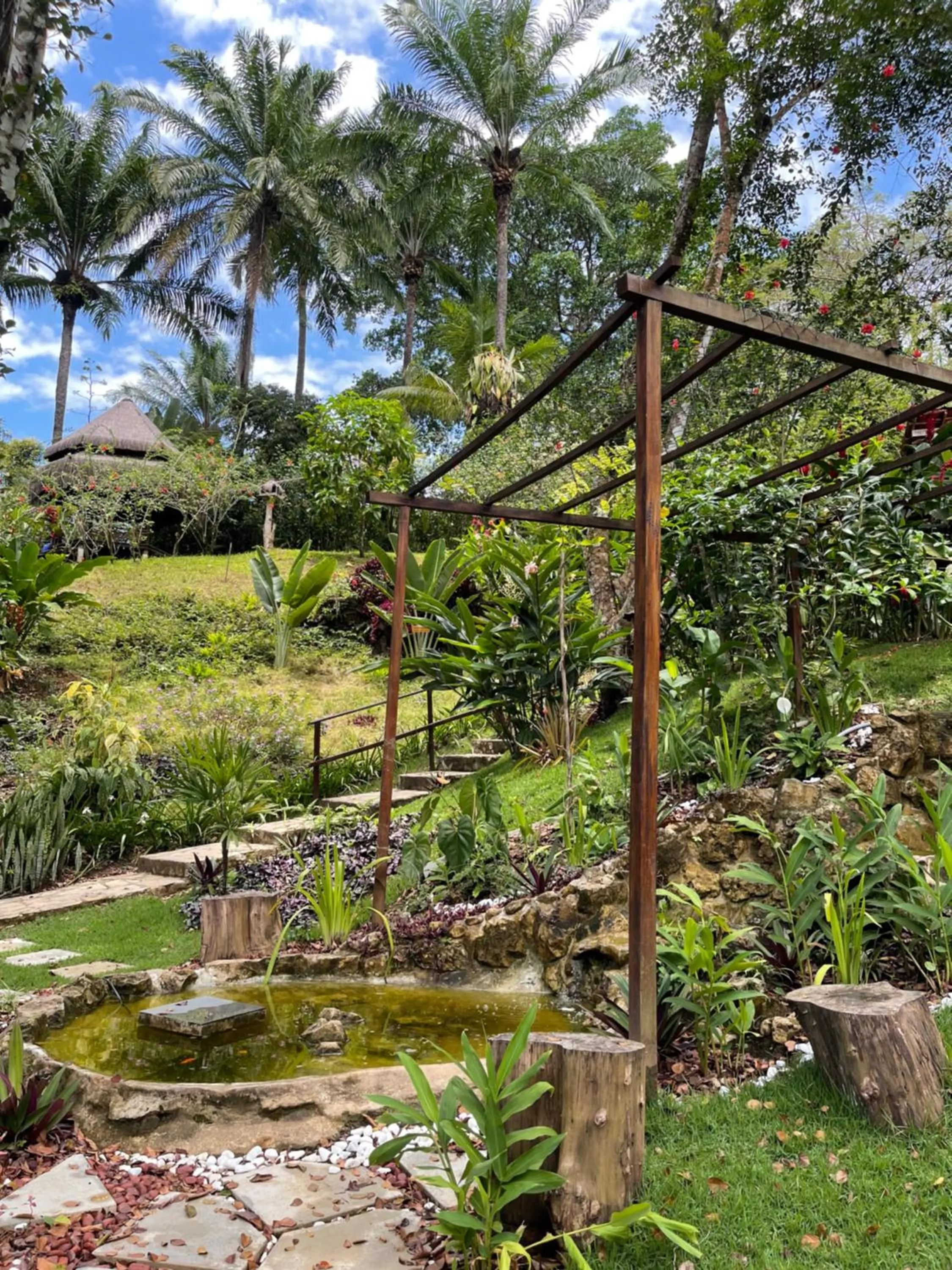 Garden in Pousada Horizonte Azul
