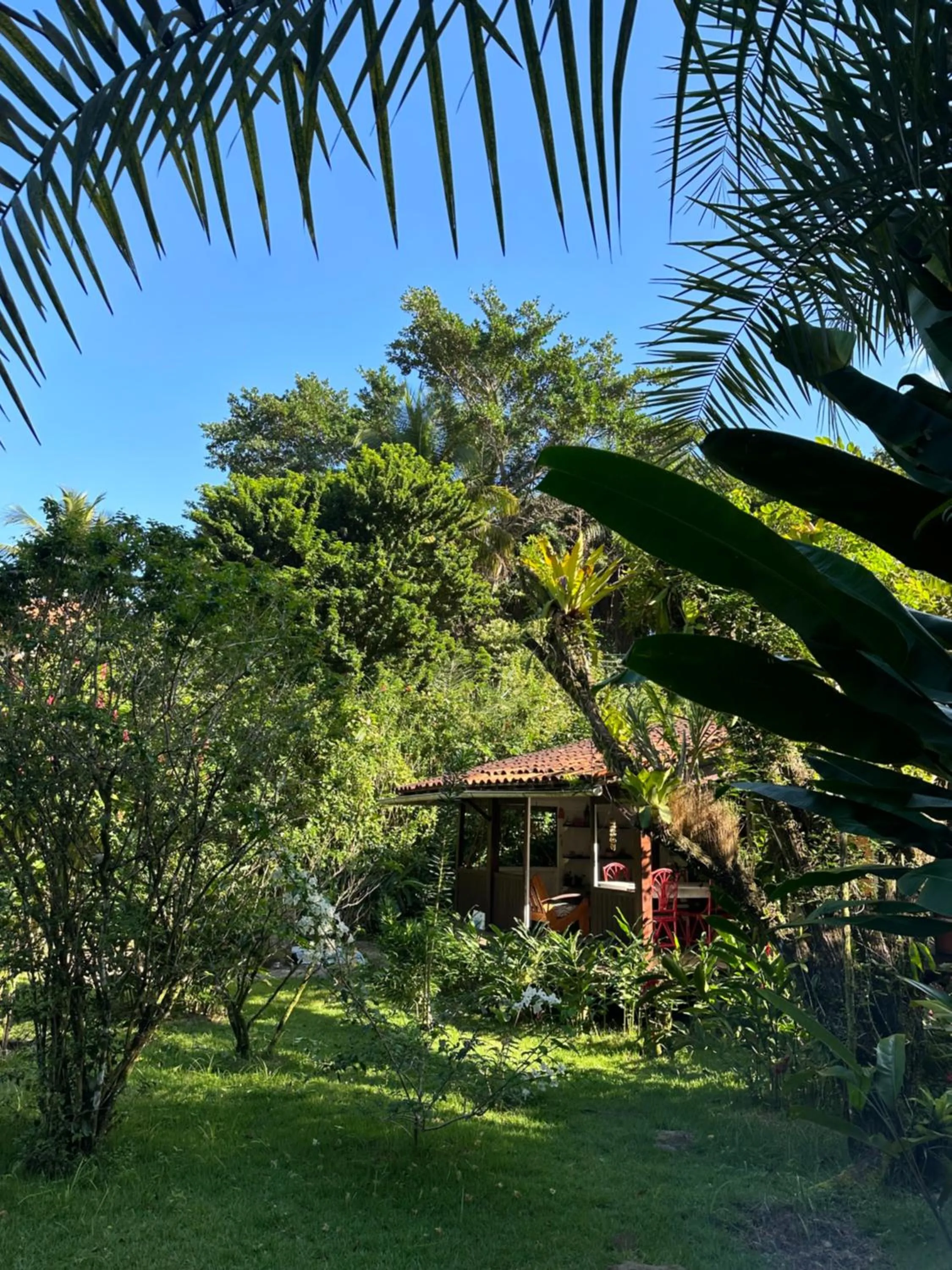 Garden view in Pousada Horizonte Azul