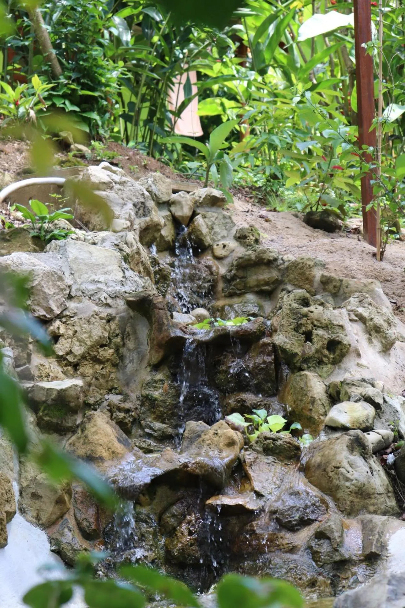 Natural landscape in Pousada Horizonte Azul