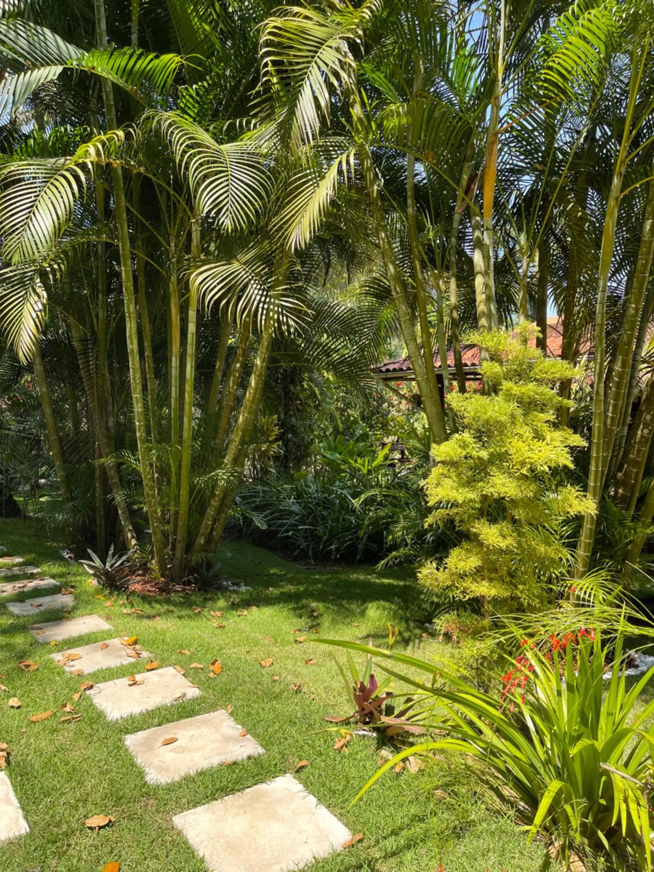 Garden in Pousada Horizonte Azul