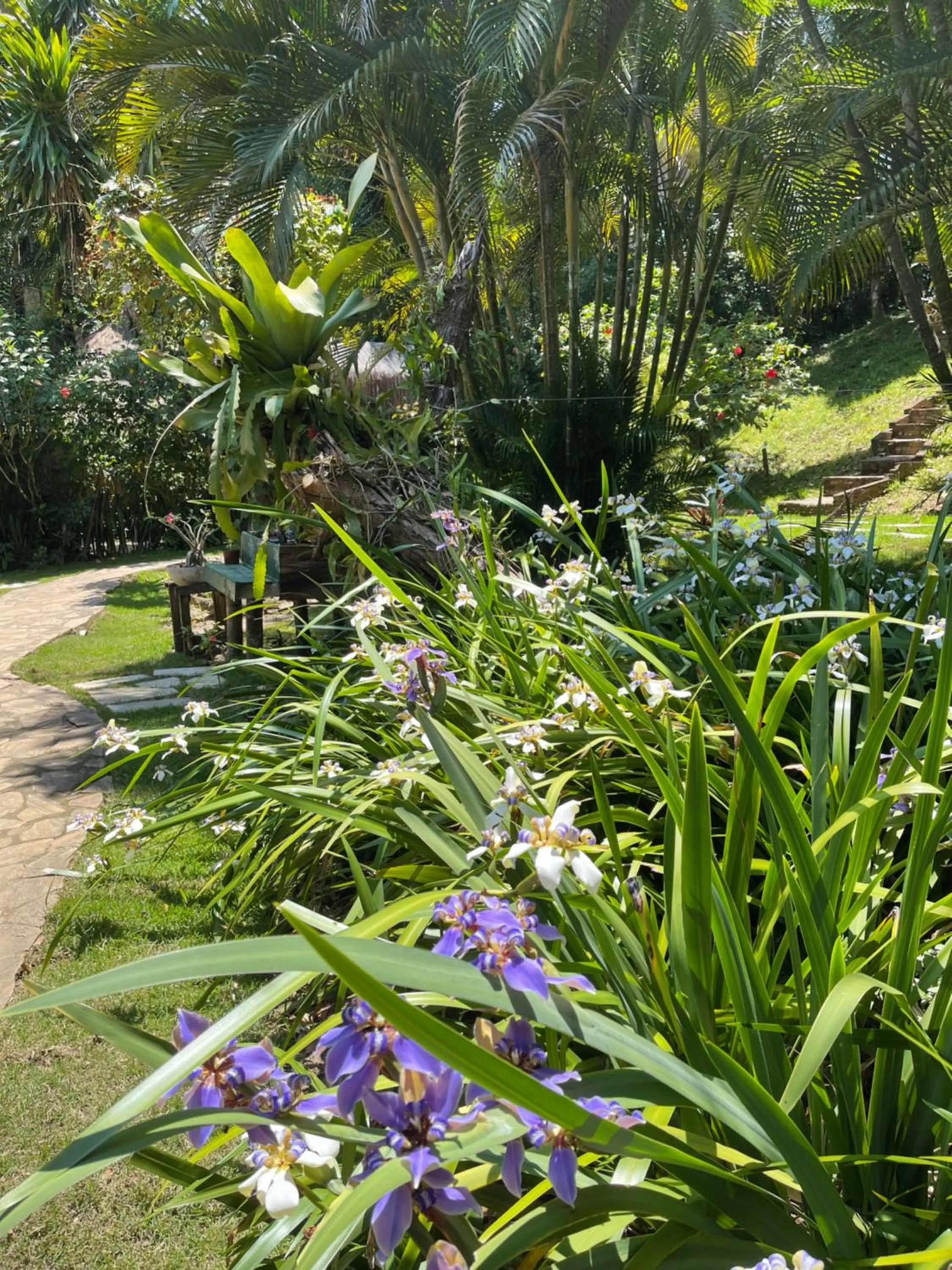 Garden in Pousada Horizonte Azul