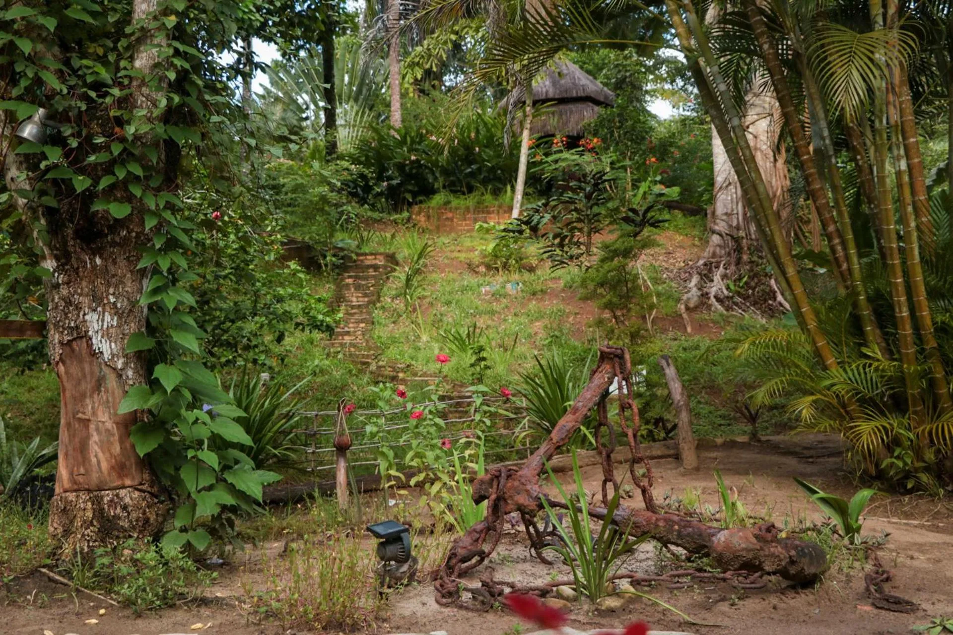 Garden in Pousada Horizonte Azul