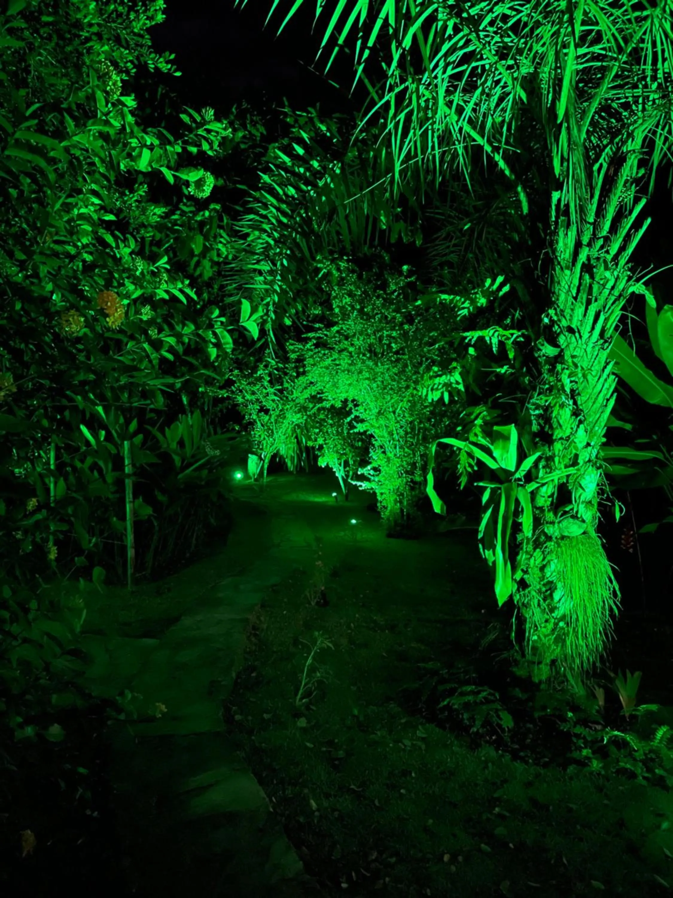 Garden in Pousada Horizonte Azul