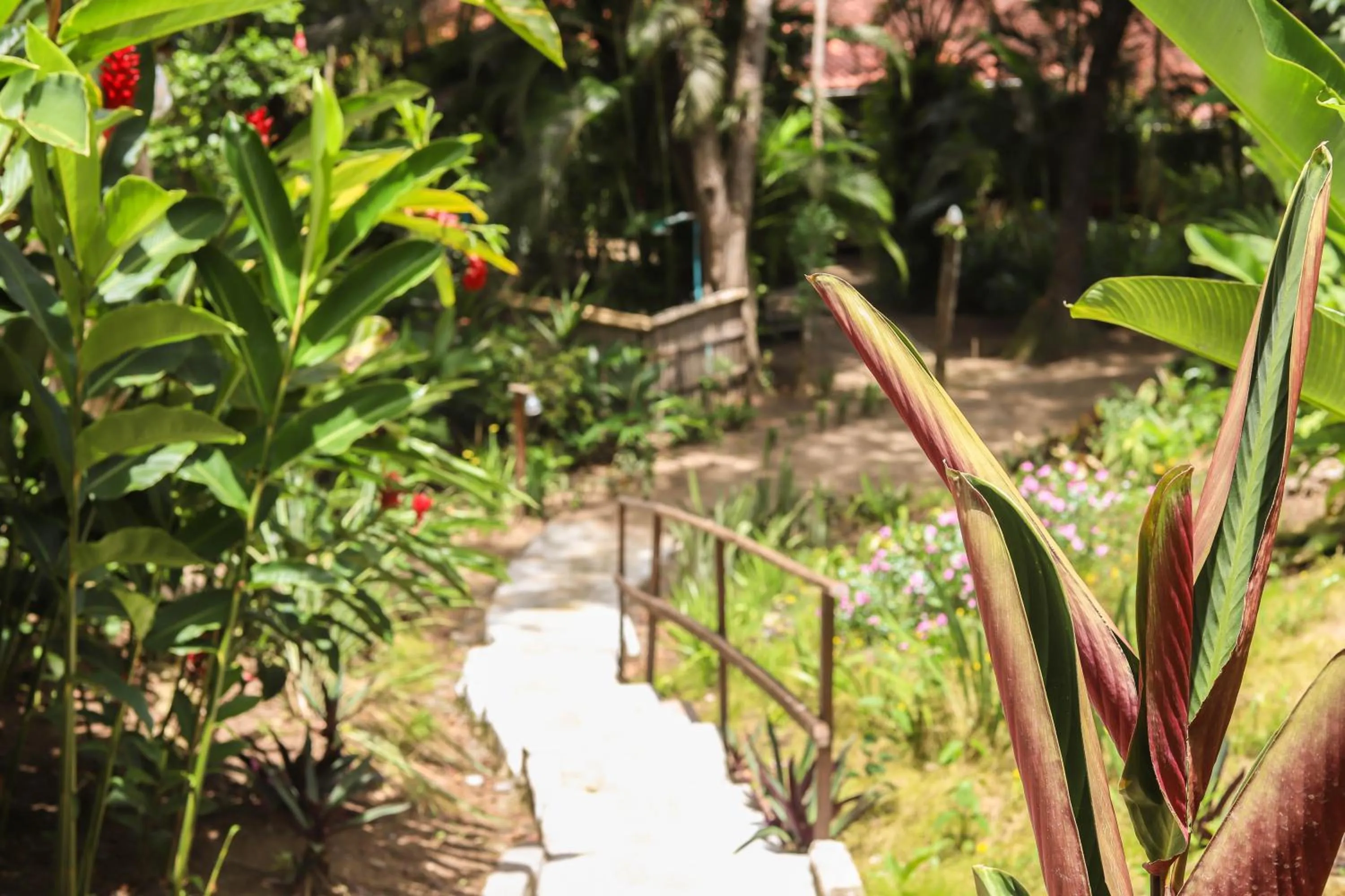 Garden in Pousada Horizonte Azul