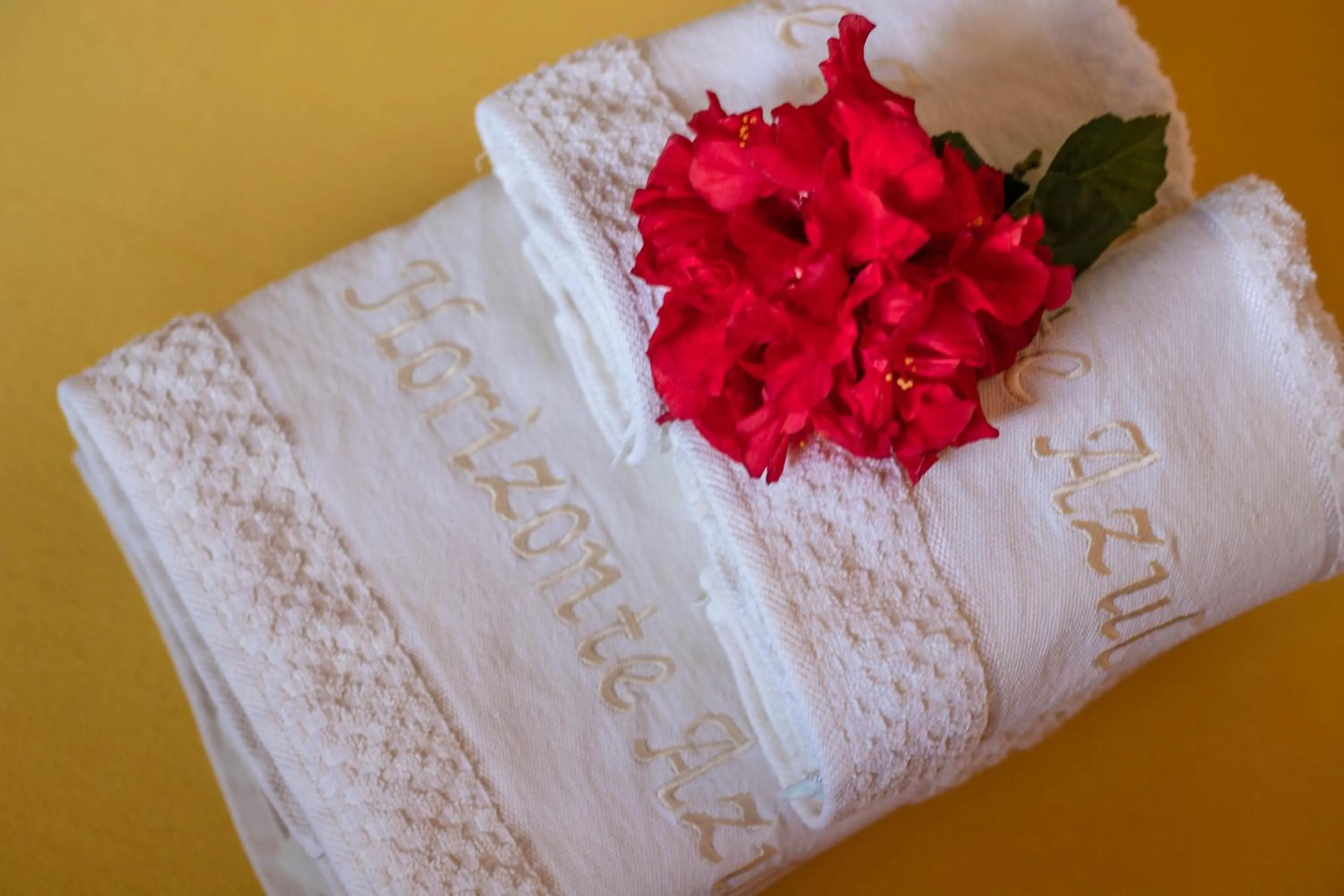 Decorative detail in Pousada Horizonte Azul