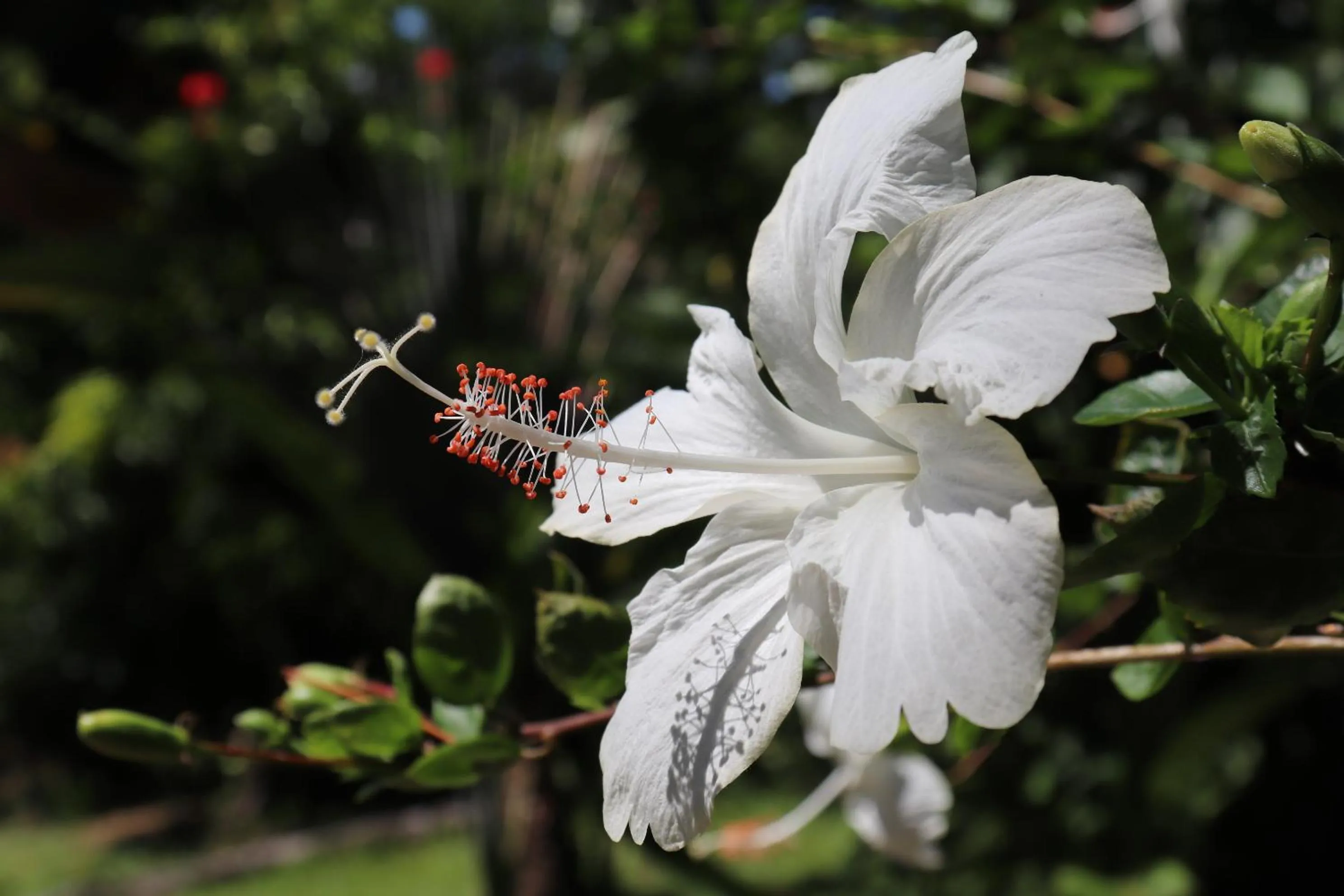 Natural landscape in Pousada Horizonte Azul