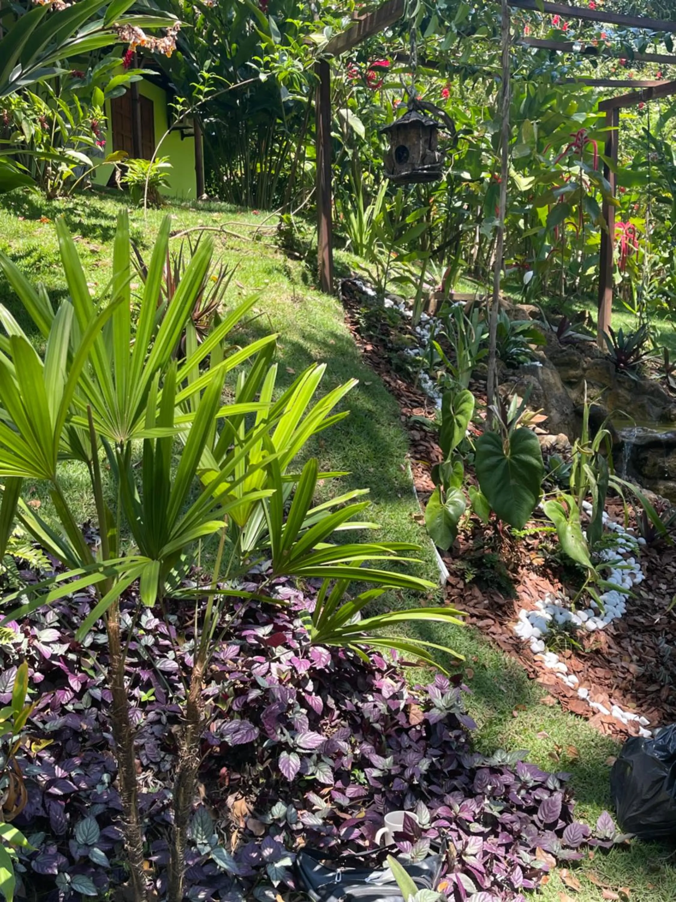 Garden in Pousada Horizonte Azul