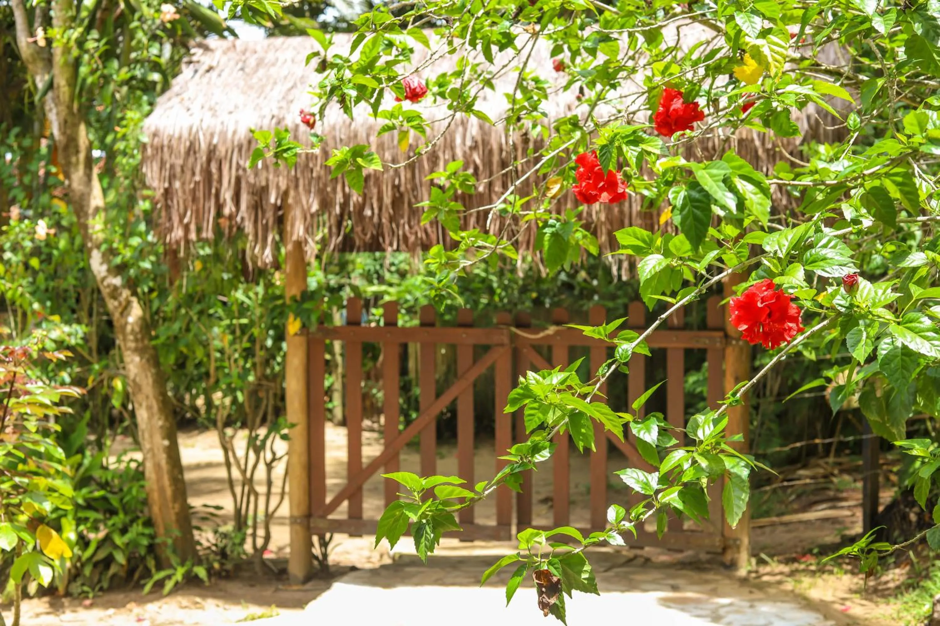 Garden in Pousada Horizonte Azul