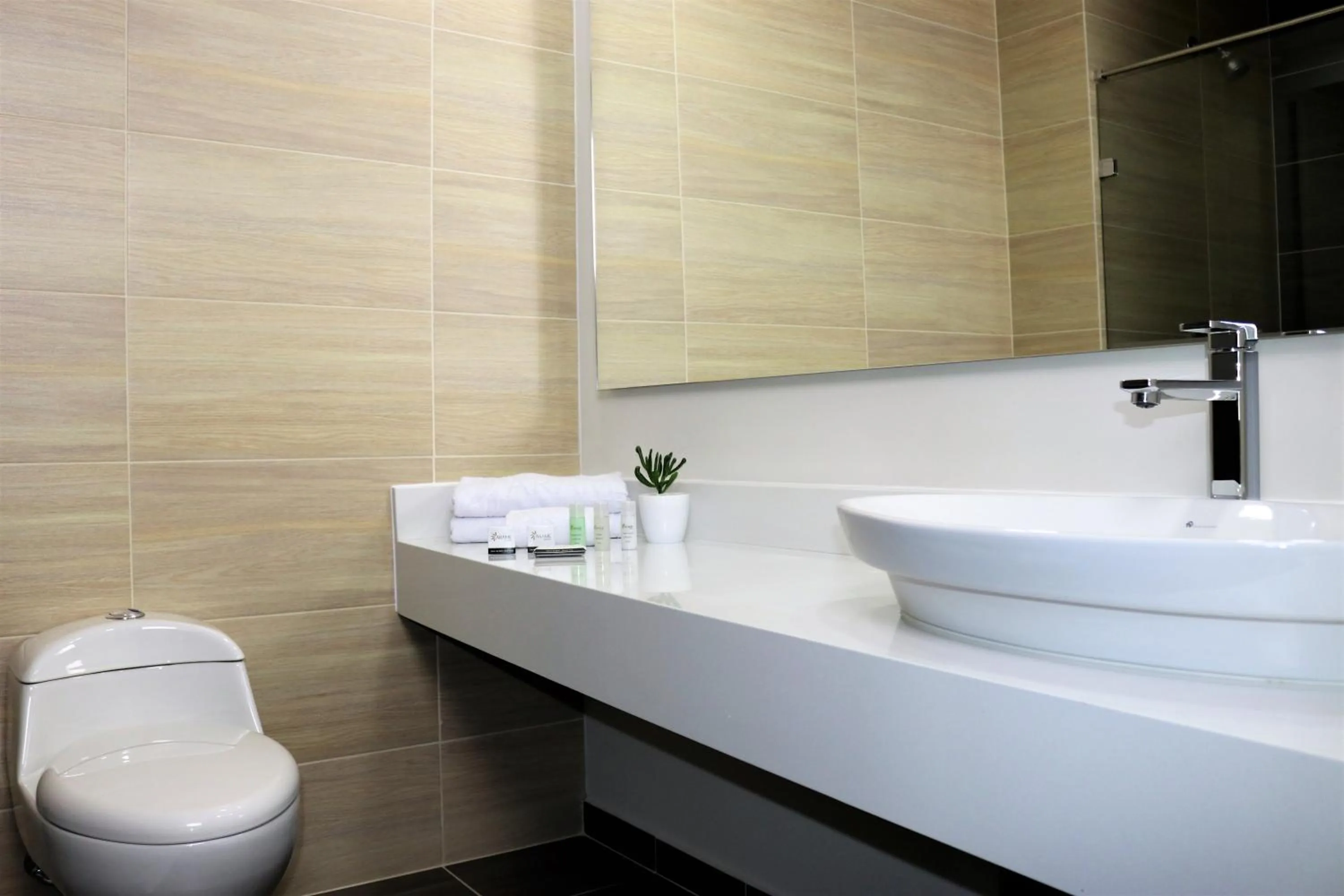 Toilet in Arame Hotel