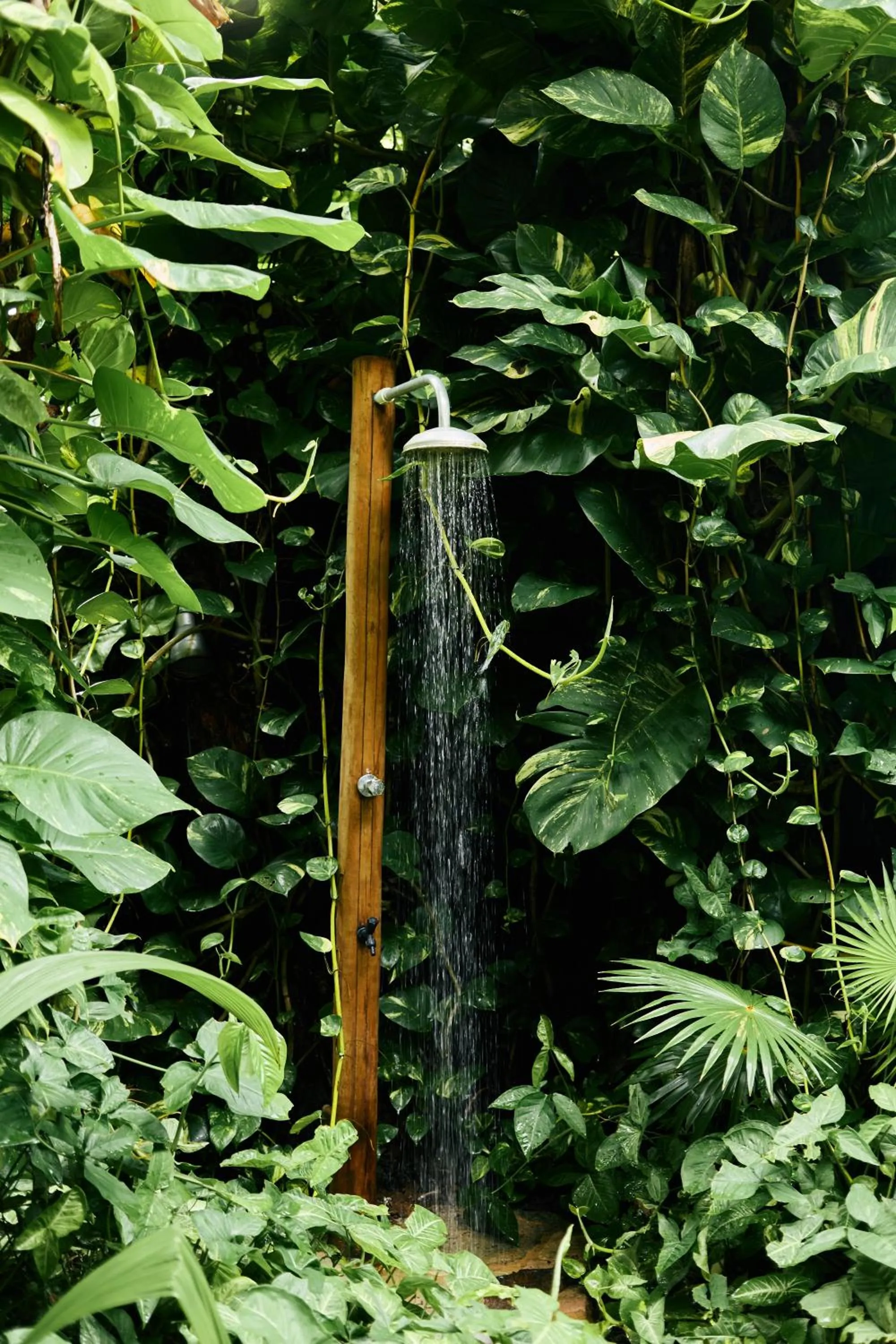 Garden view in Pousada Santa Clara
