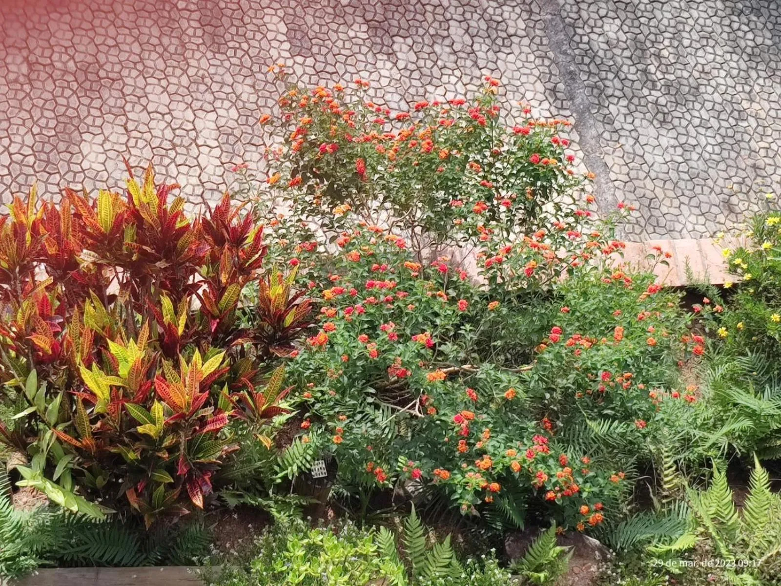 Pousada Natureza e Arte