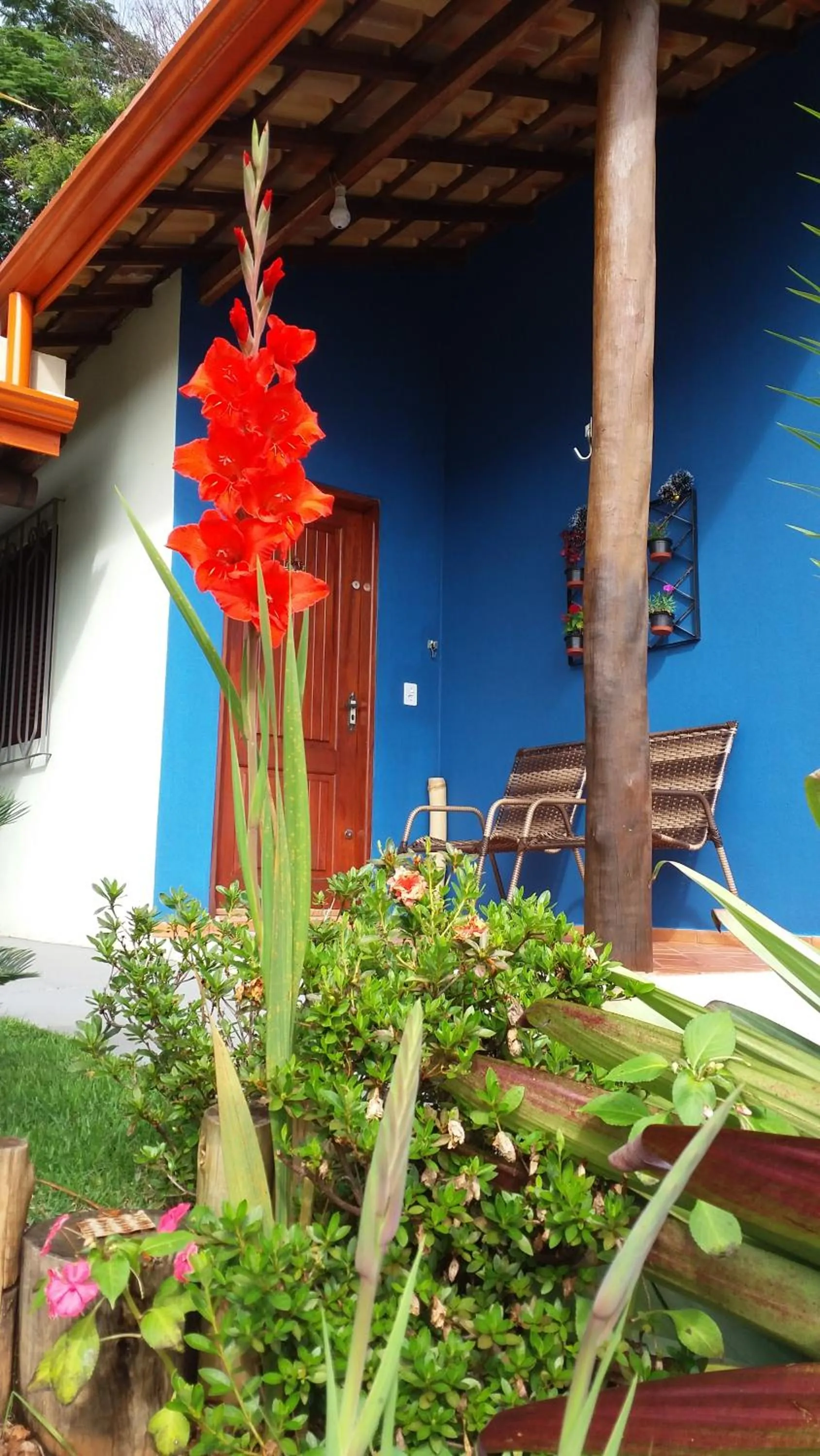 Patio in Pousada Natureza e Arte