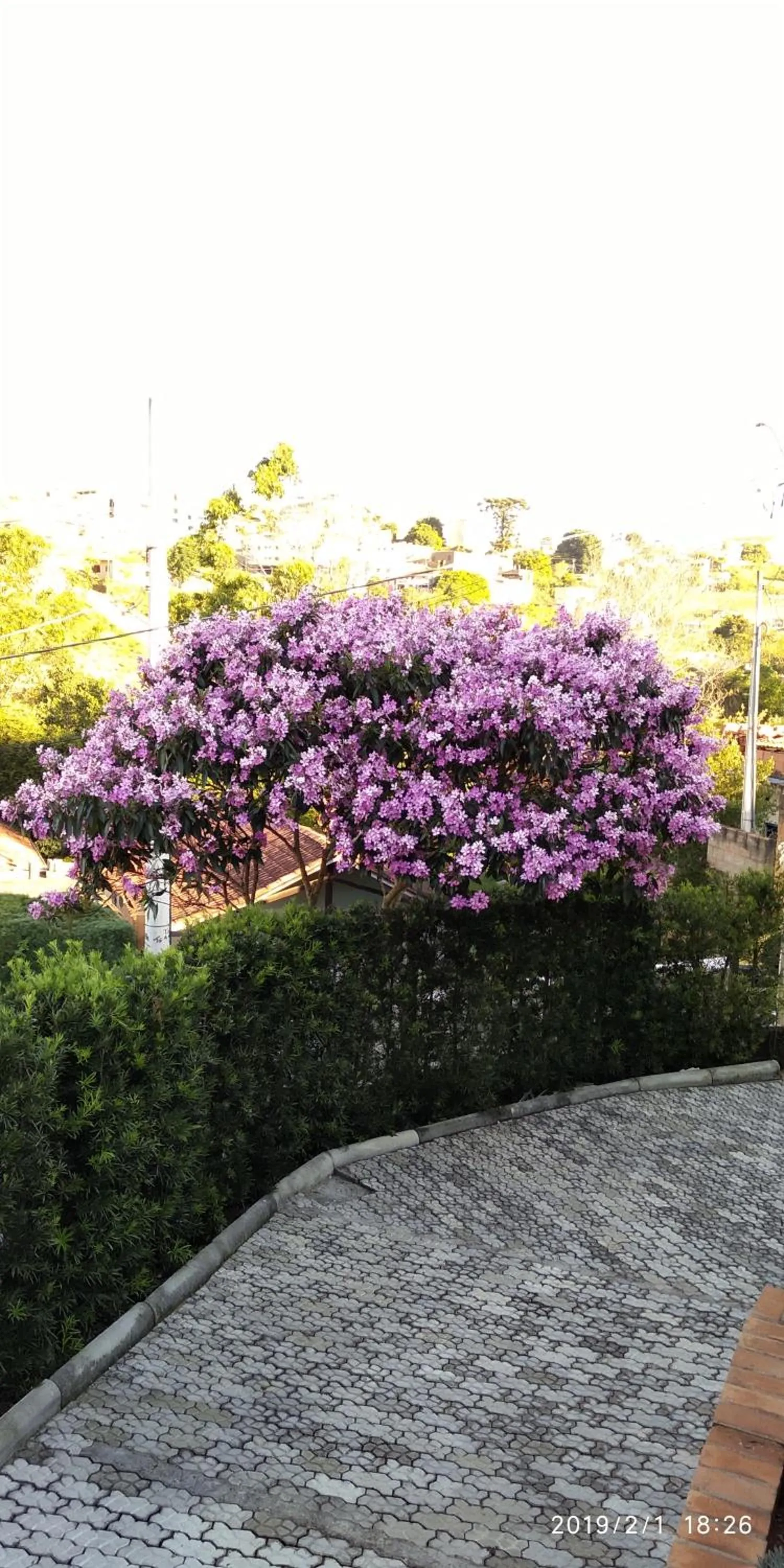 View (from property/room) in Pousada Natureza e Arte