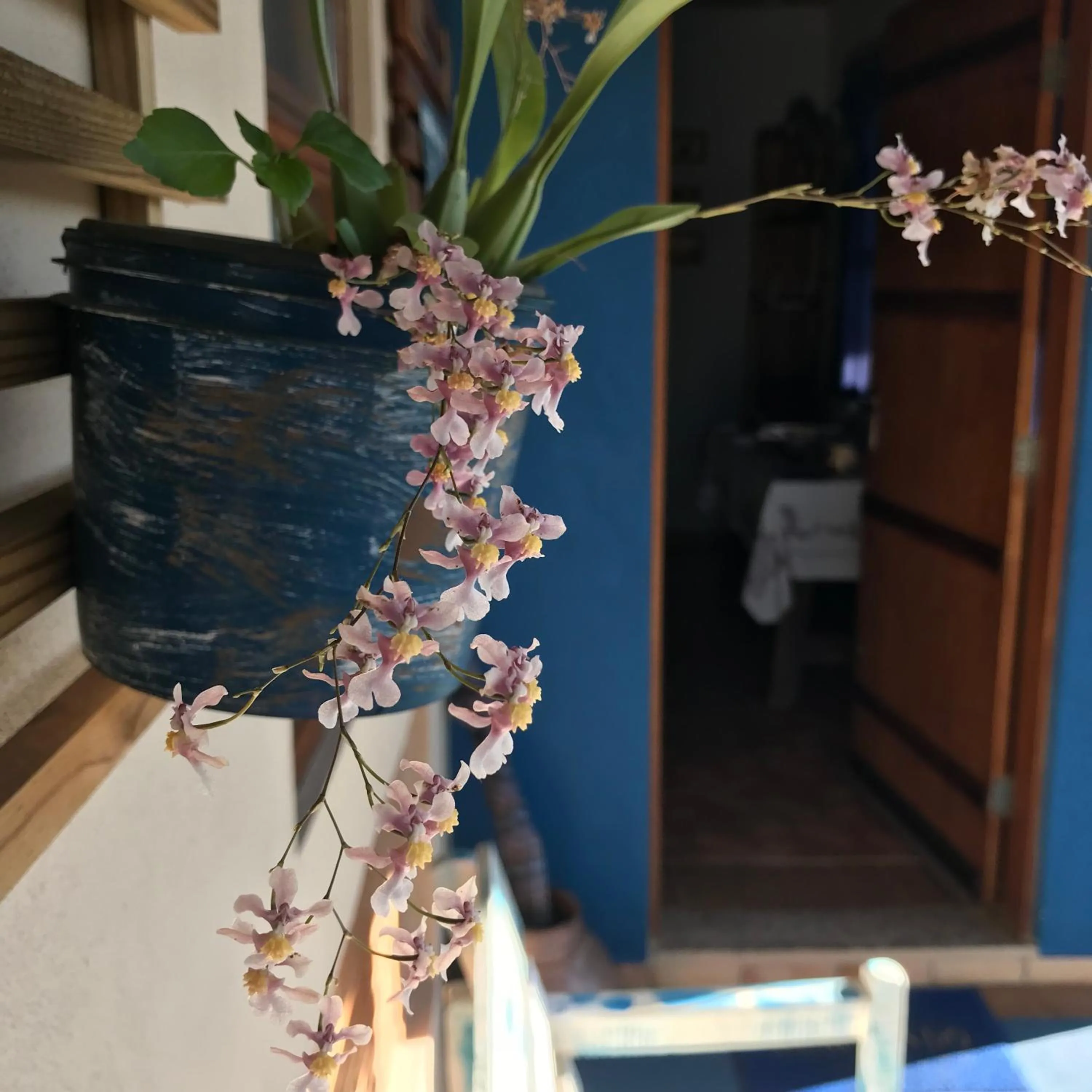Pousada Natureza e Arte