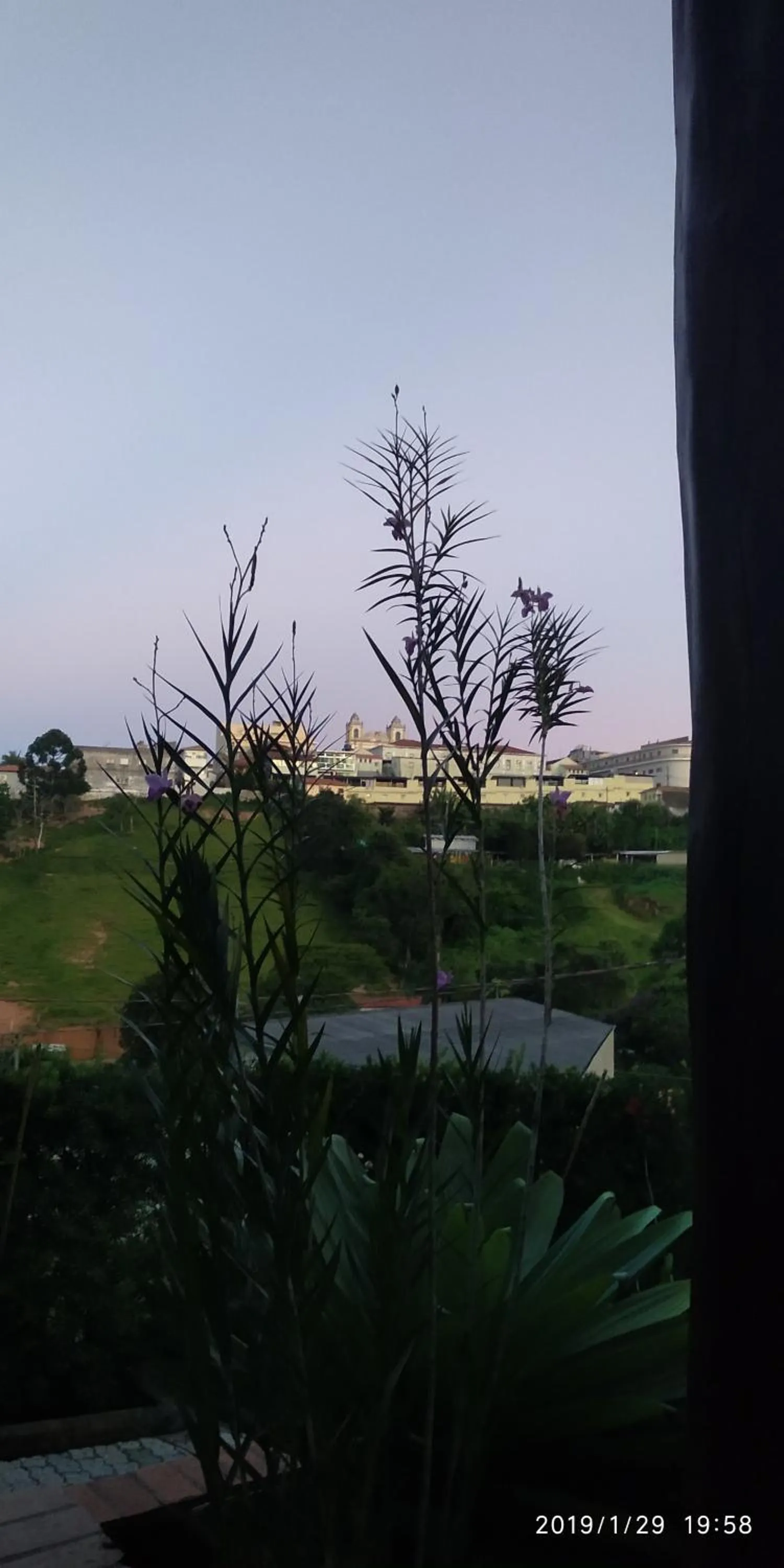 Garden view in Pousada Natureza e Arte