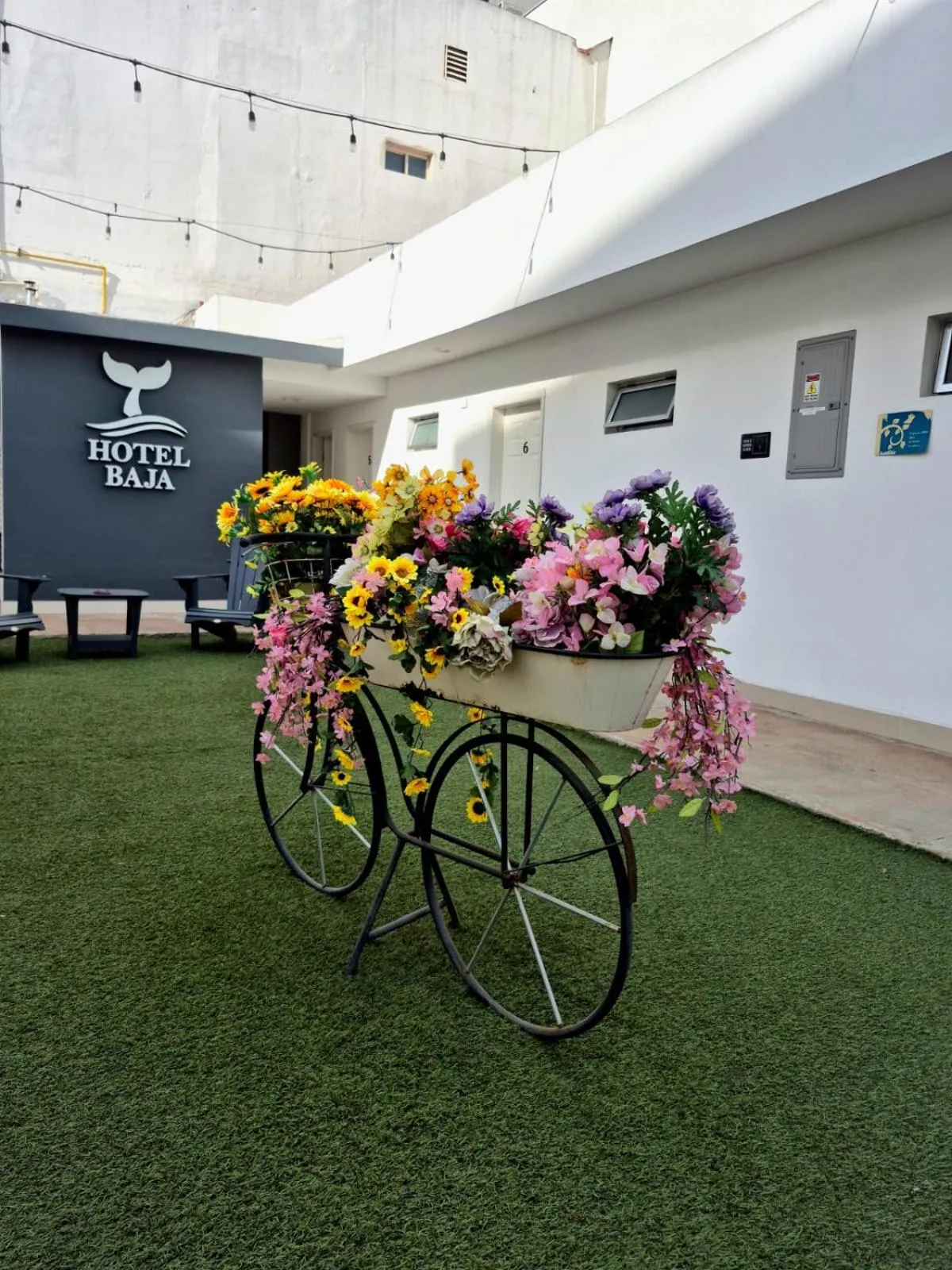 Hotel Baja