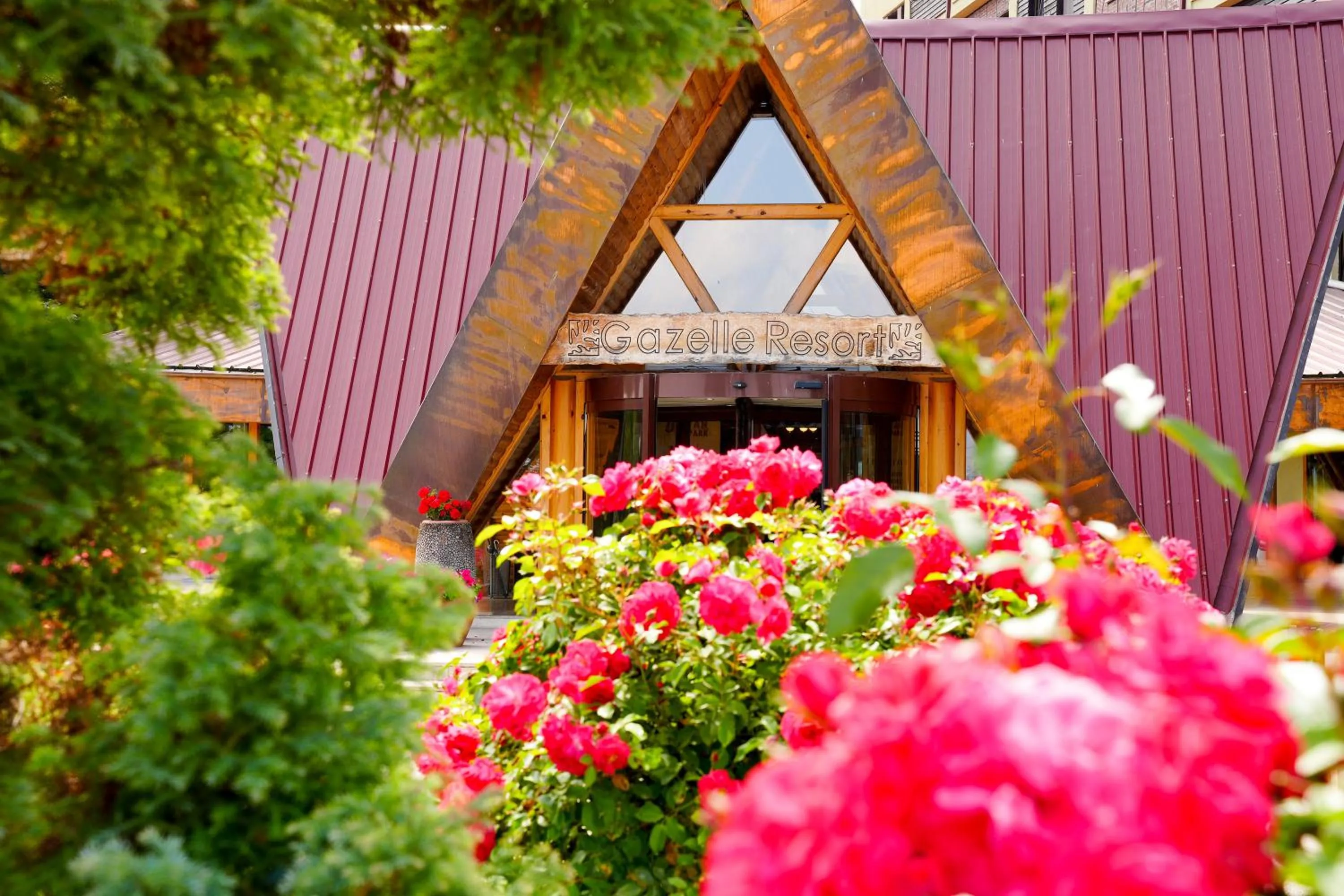 Facade/entrance in Gazelle Resort & Spa