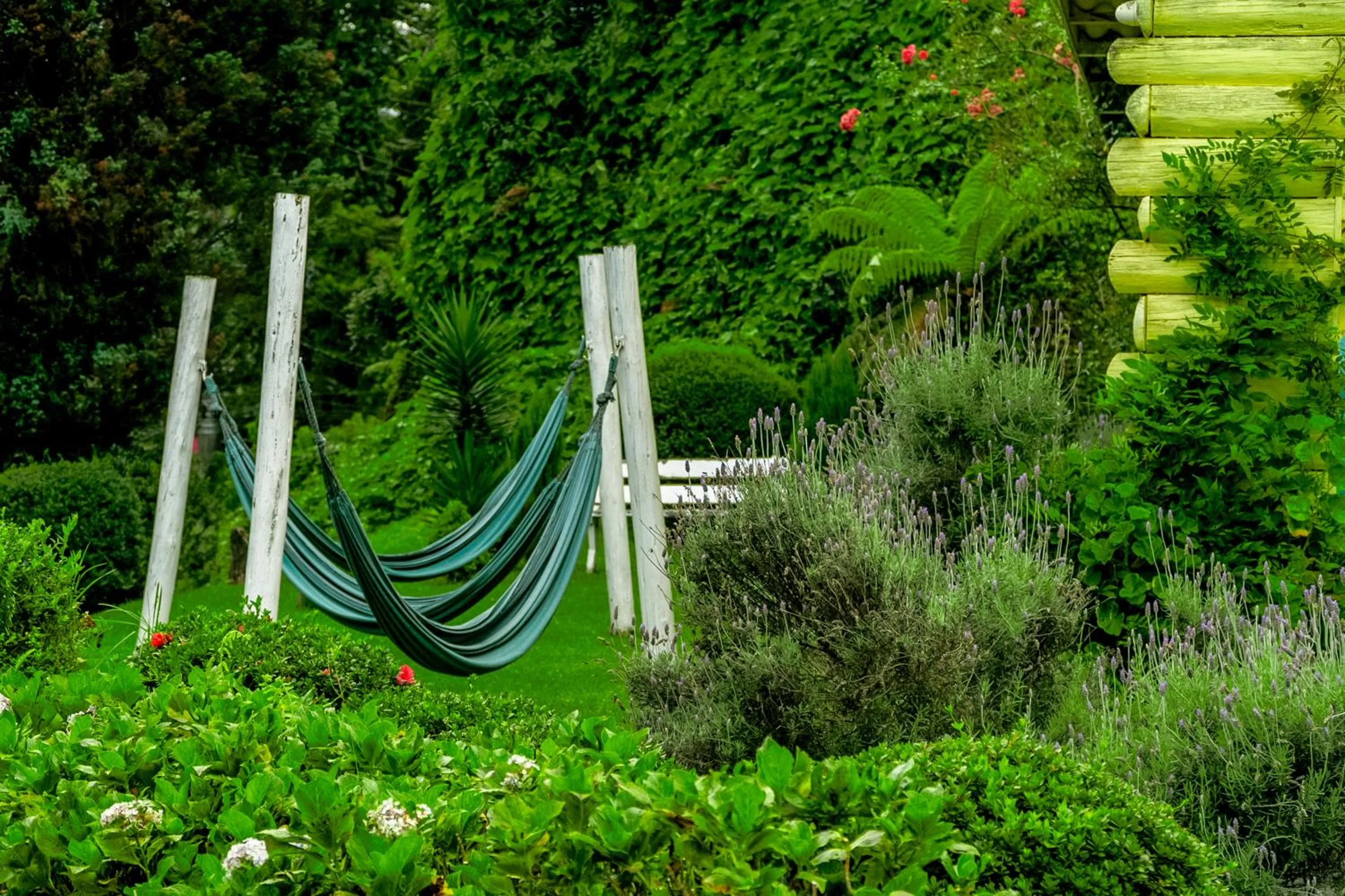 Natural landscape in VELINN Pousada Casa de Campos Capivari House
