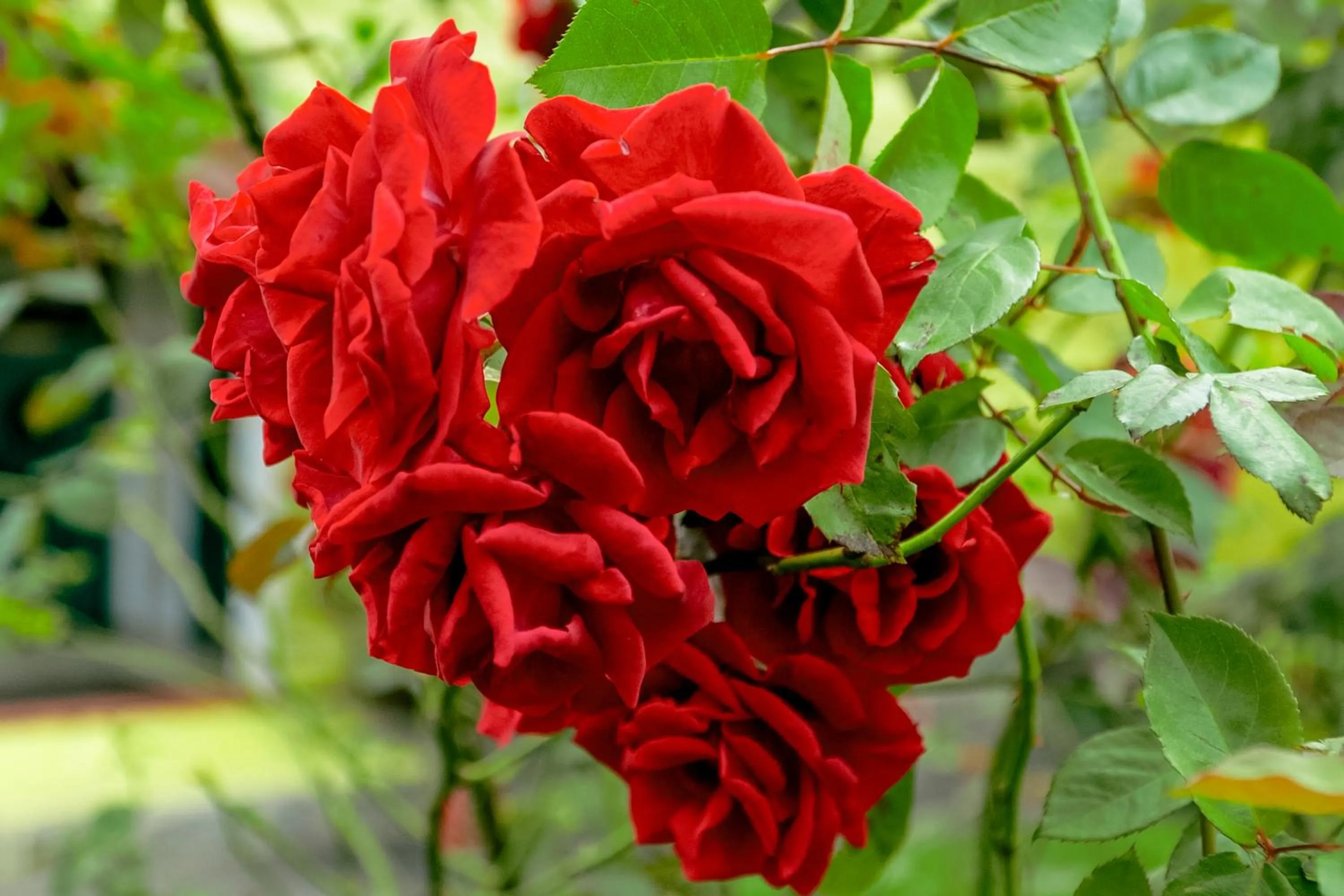 Natural landscape in VELINN Pousada Casa de Campos Capivari House