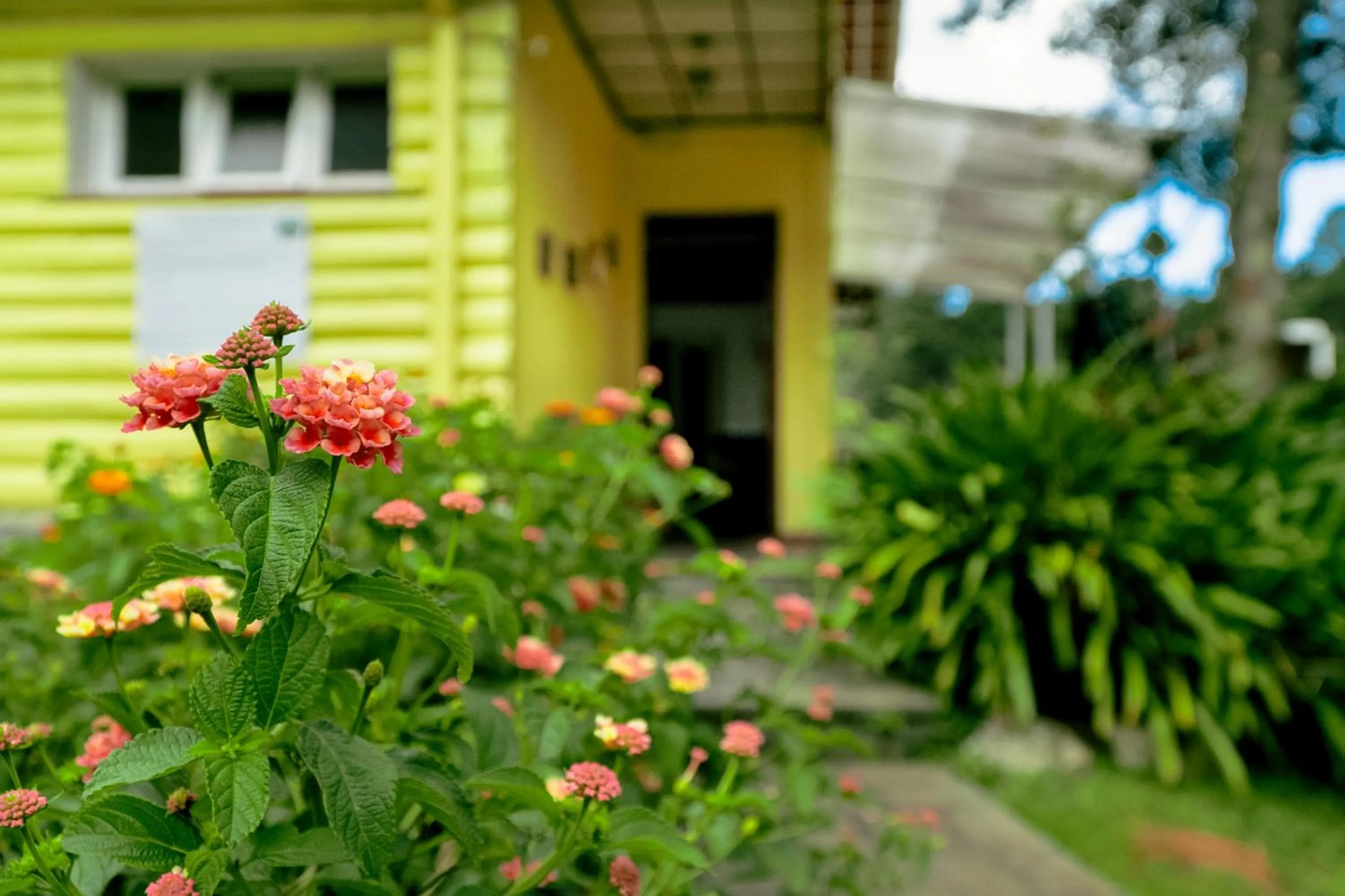 Garden in VELINN Pousada Casa de Campos Capivari House