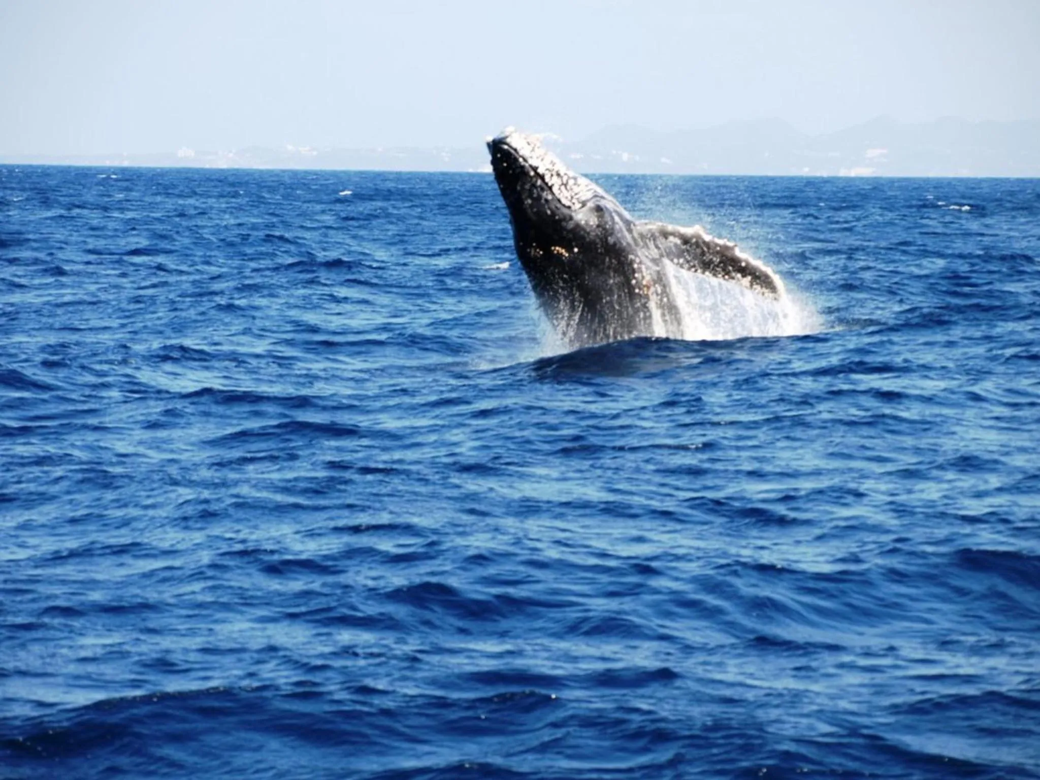 Entertainment in Pension Moon Villa