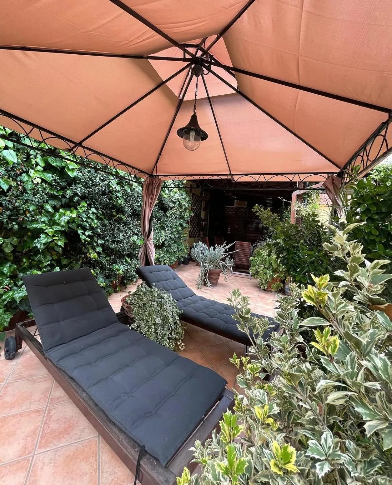 Solarium in Hotel Amadeus